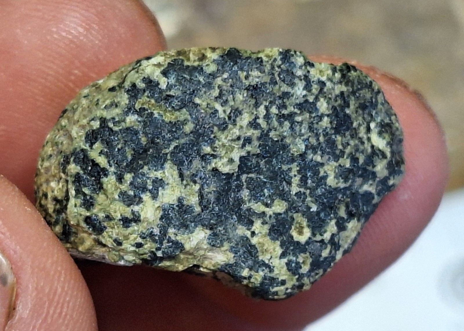 Copper Replacement Agate In Greenstone – Wolverine #2 Copper Mine – Michigan