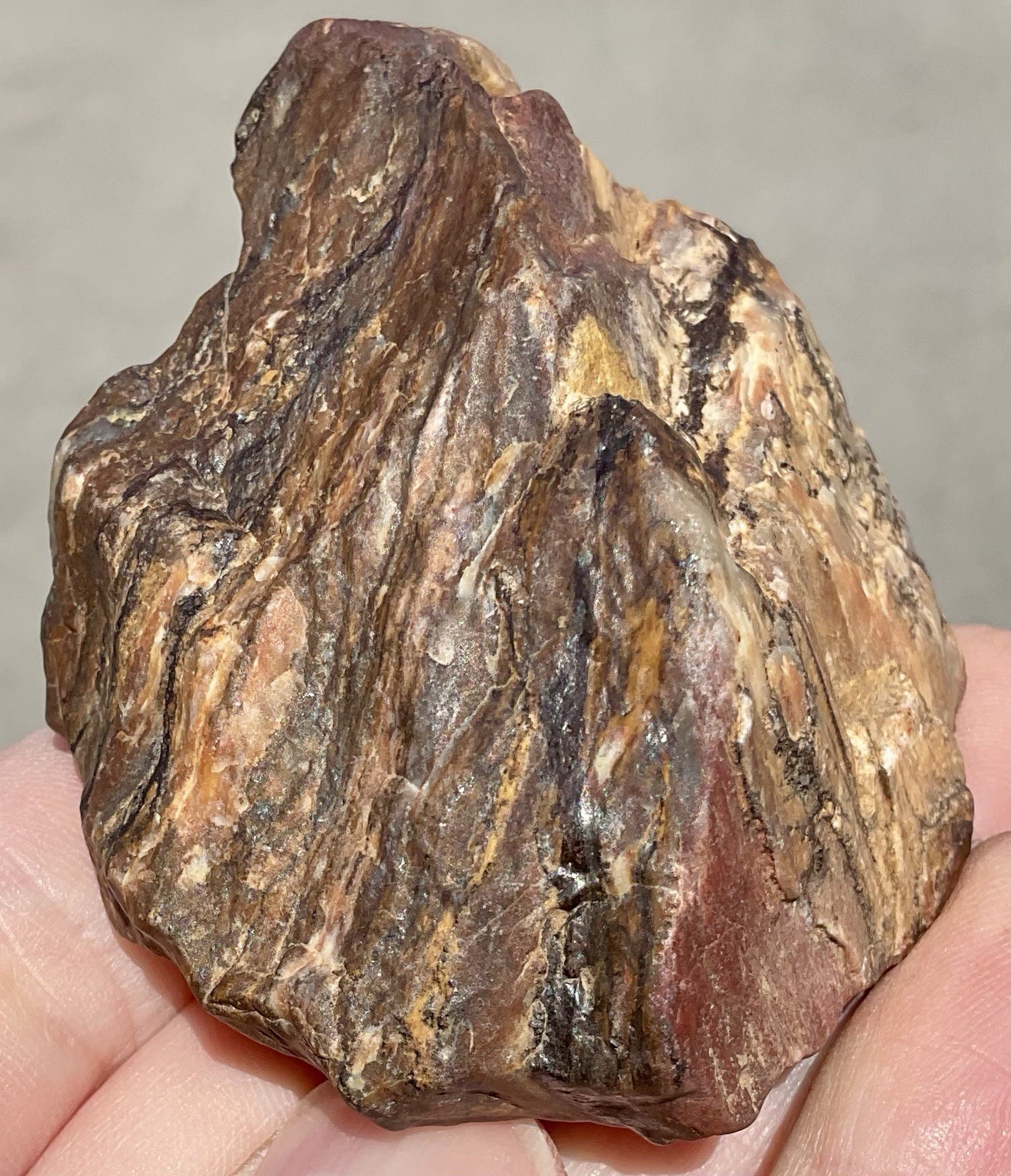 141g Banded Iron Petrified Wood Pseudomorph Rare Minnesota Rough Lapidary