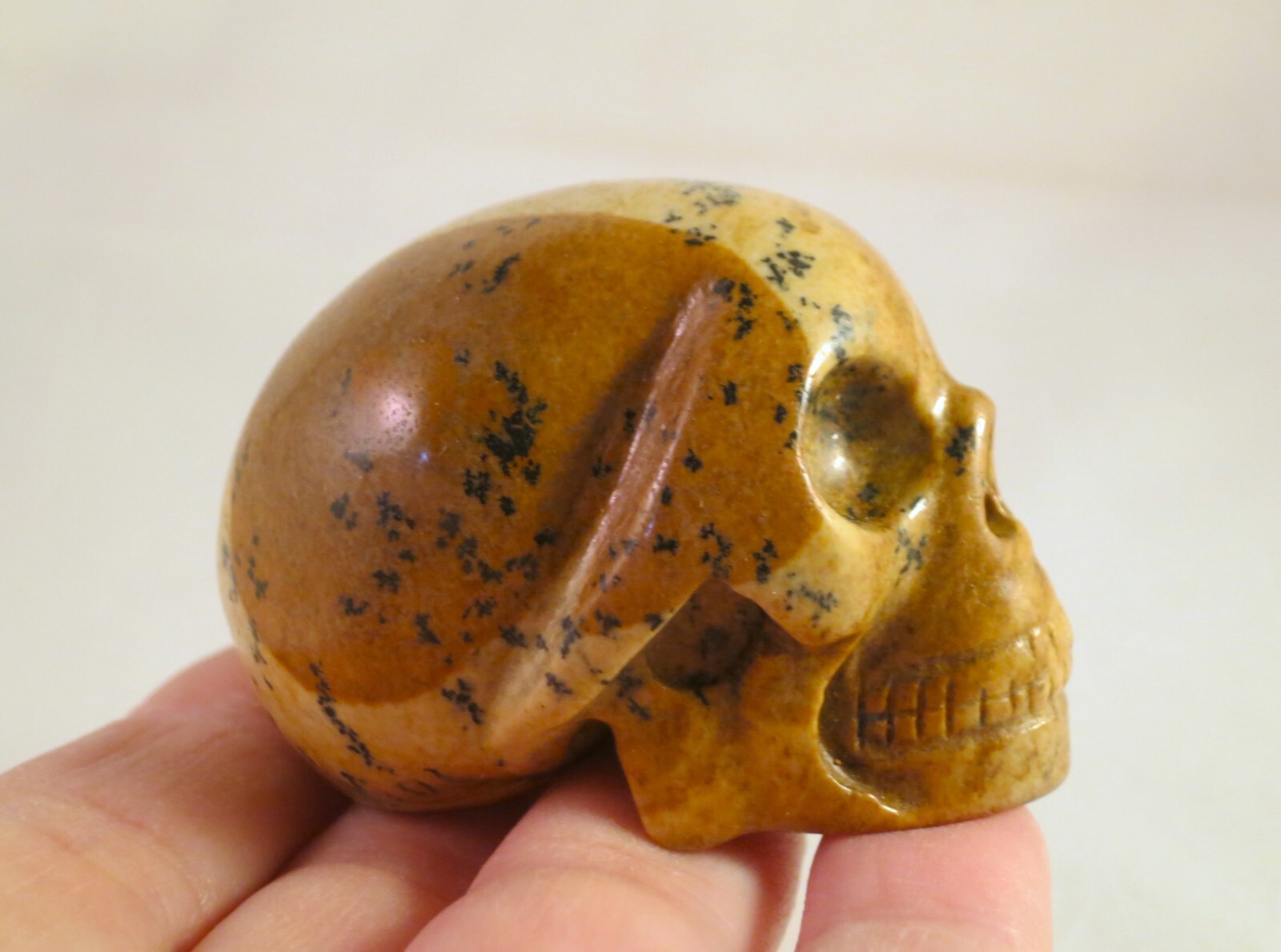 2″ PICTURE JASPER Carved and Polished SKULL