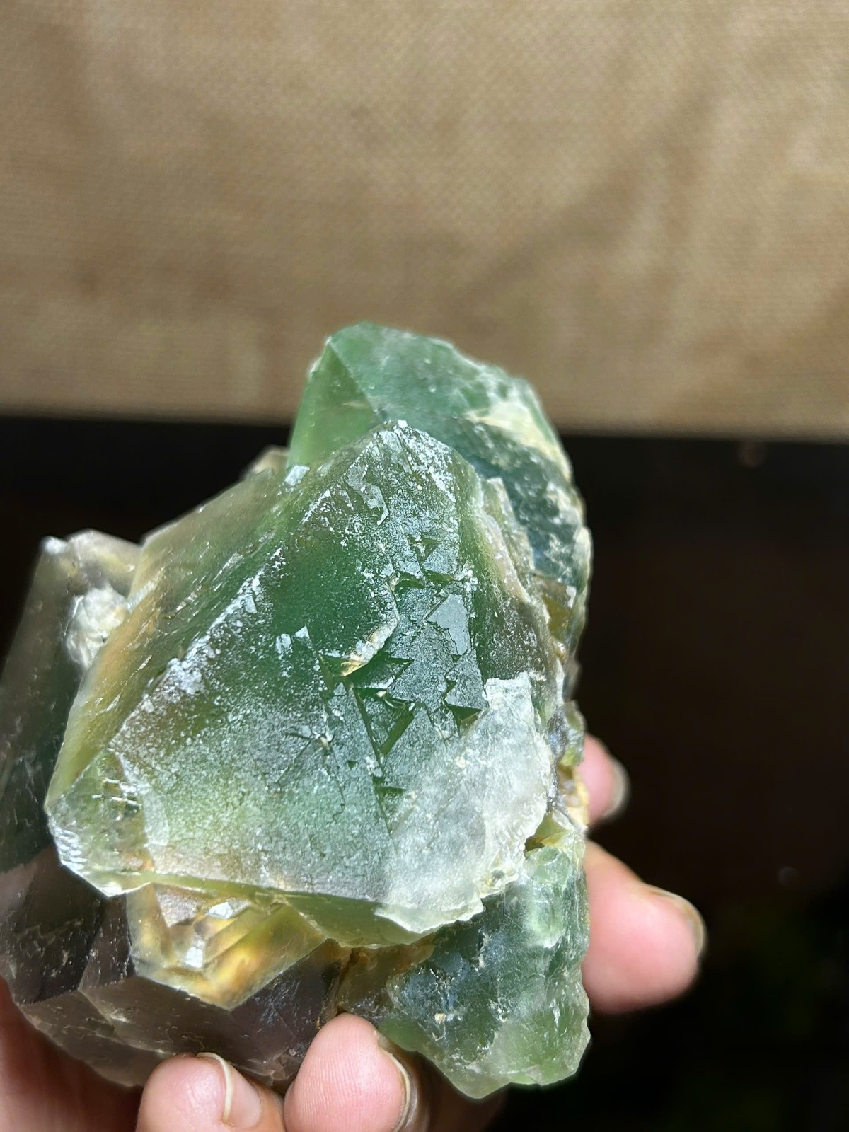 816g Natural Green Cubic Fluorite w/ Rainbow Crystal Cluster Specimen Healing