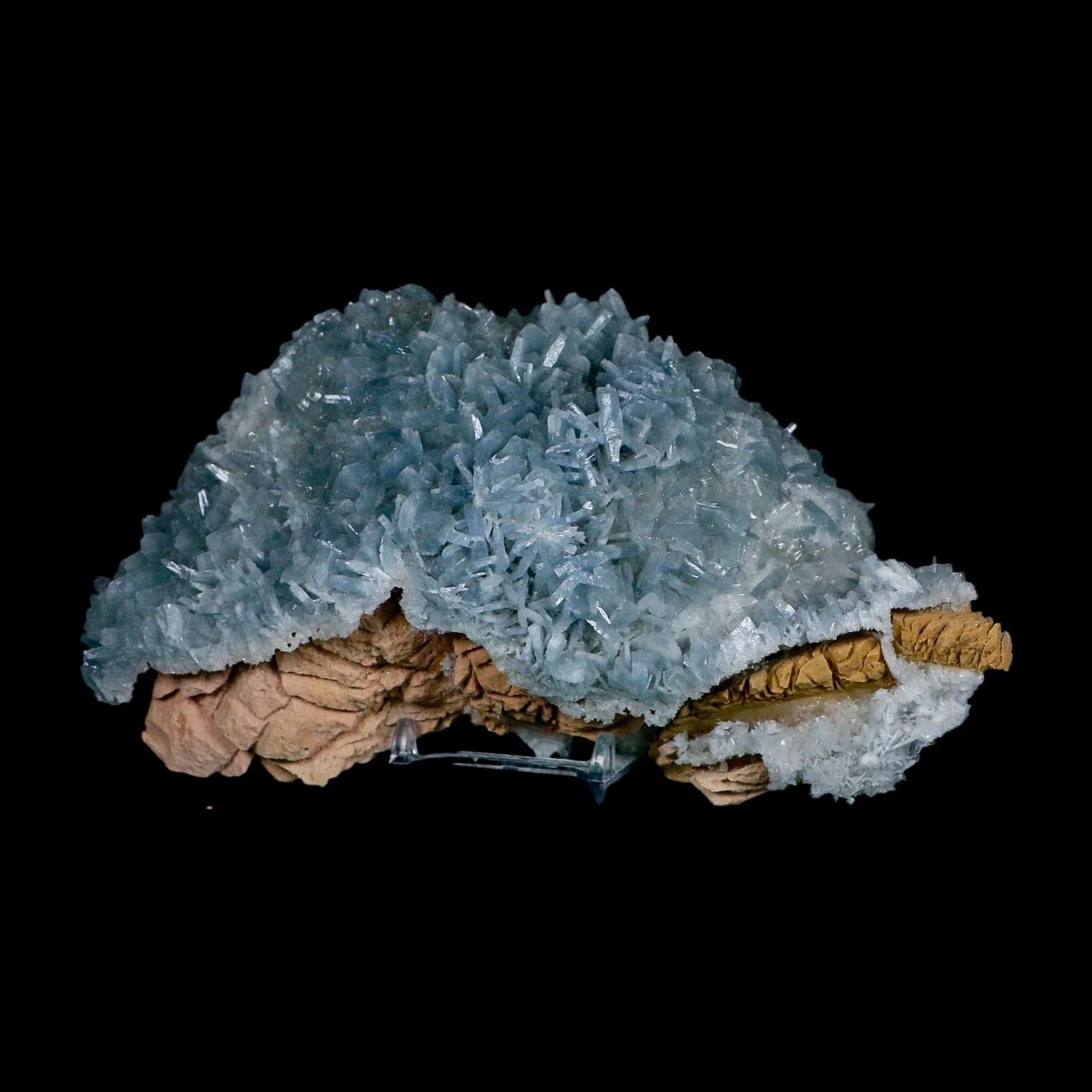 XL 7″ Ice Blue Tabular Barite Blades Crystal Mineral Meknes-Tafilalet Morocco