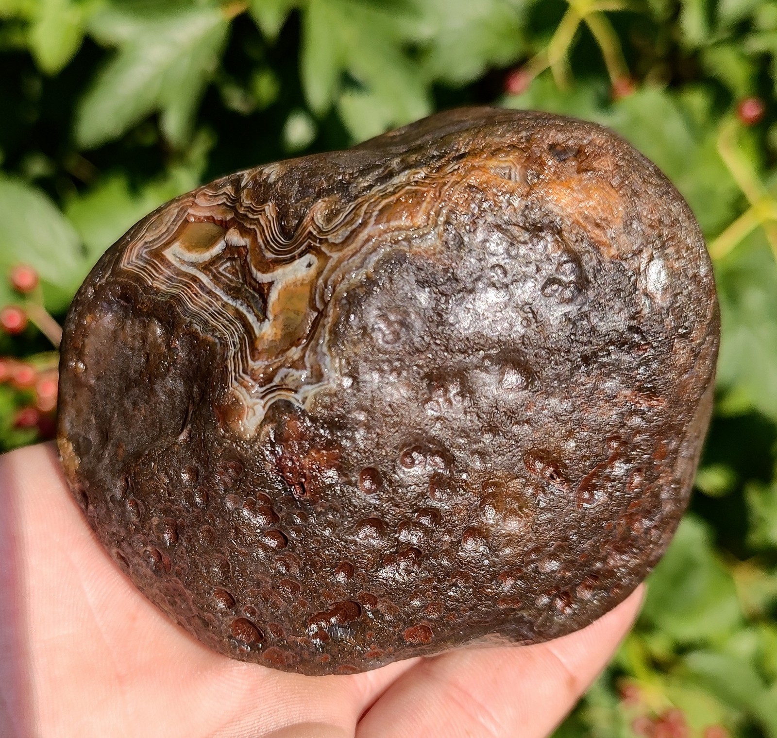 Lake Superior Agate✨, 1lb 8.7oz Outstanding Mixed Color Lake Superior Gem