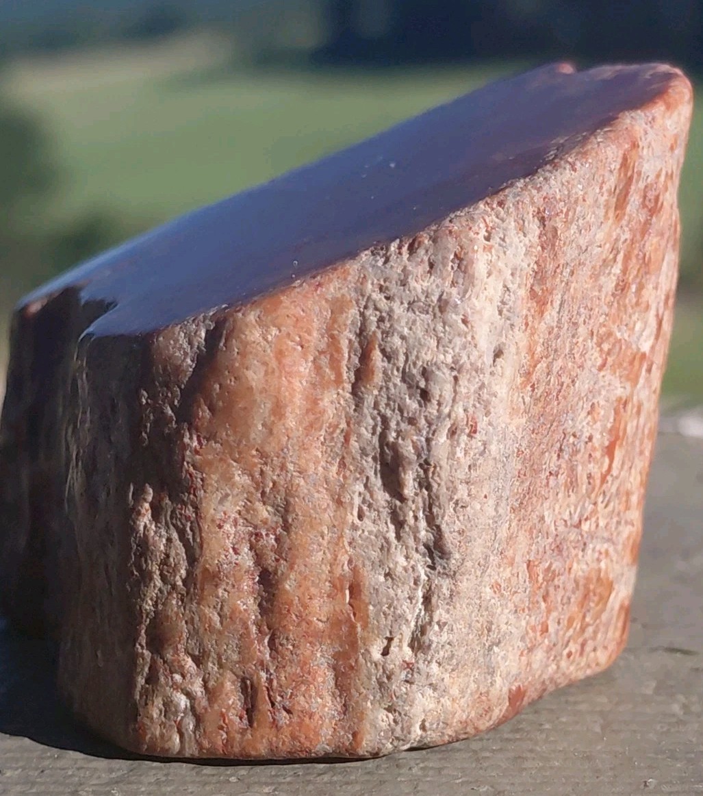 Polished Petrified Arizona Rainbow Wood Full Round Limb Tower Stands 2 Ways Red