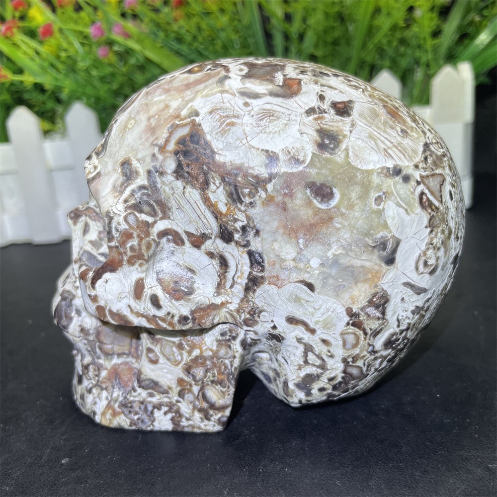 2.1LB 3.9″ Natural Money Agate Skull Crystal Quartz Carving Reiki Decoration