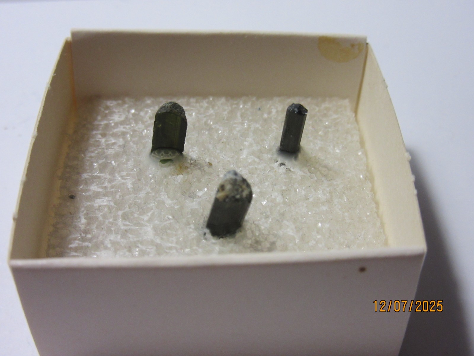 3 Green Tourmaline Crystals Brazil Thumbnail 1 5/8″ Display TGTCBTD-1s