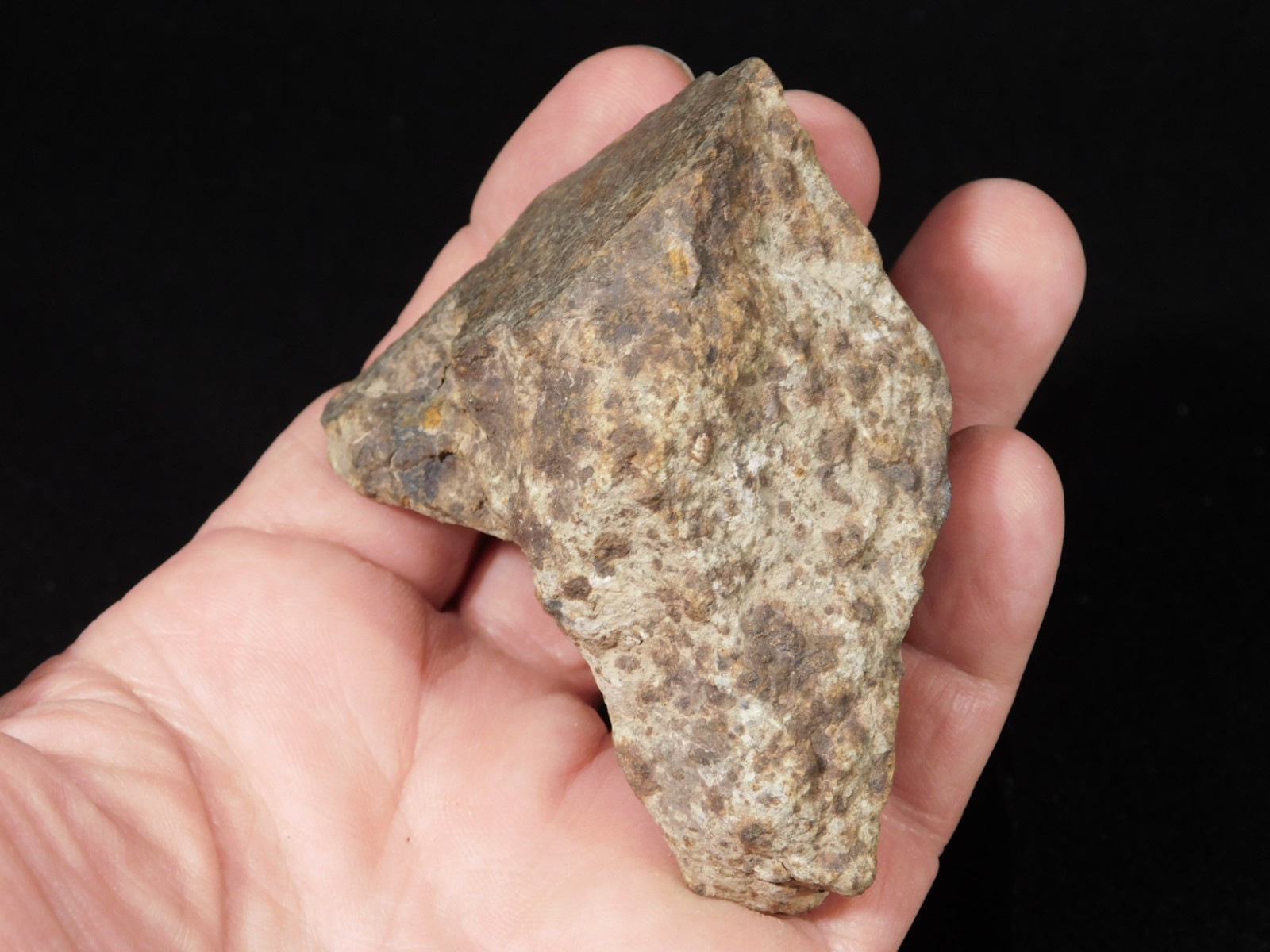 Larger! Classified NWA 8245 METEORITE 100% Natural! Erfoud, Morocco 223gr