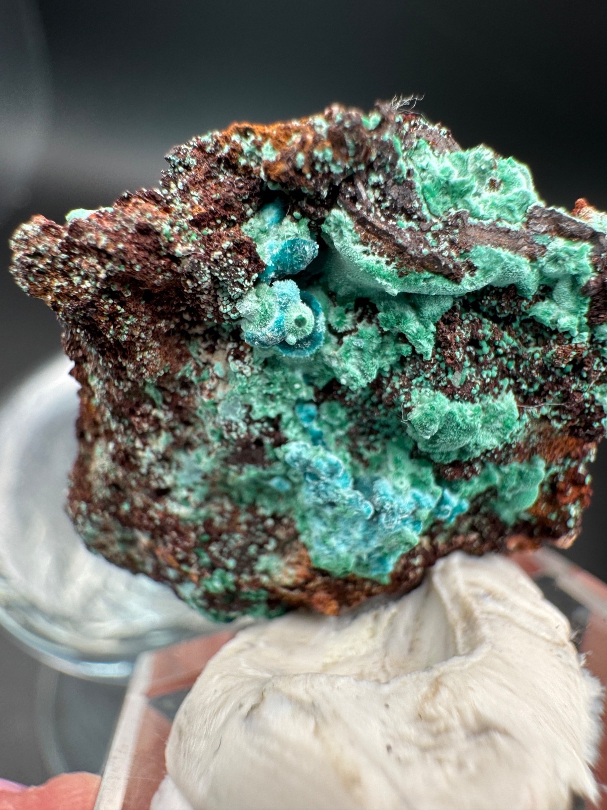 6757 Rosasite and Malachite on Matrix in Perky 8g Ojuela Mine, MX