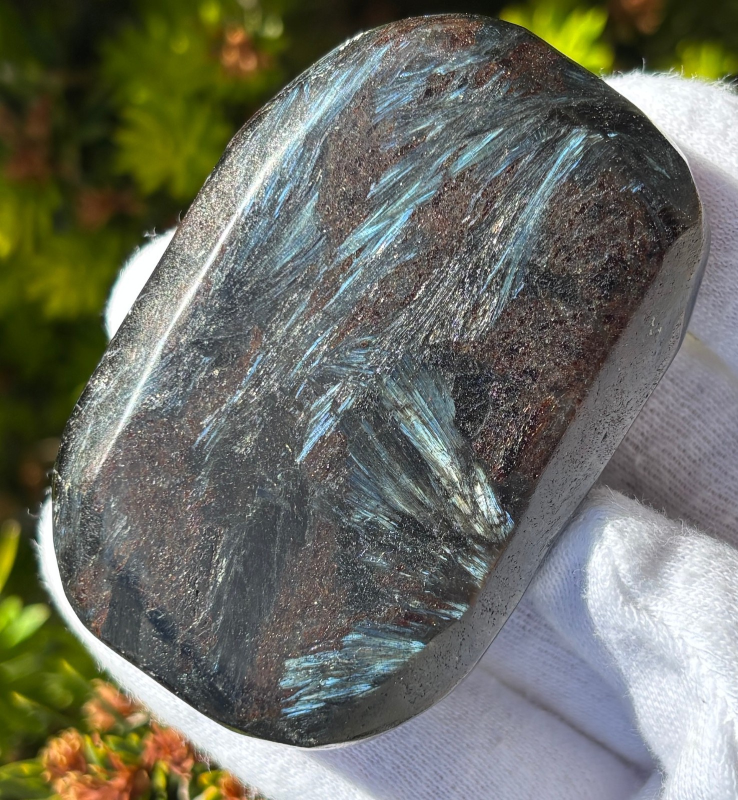 LOT PHOSPHOSIDERITE & ARFVEDSONITE Antho phyllite PALMSTONES PALM STONE FLASH