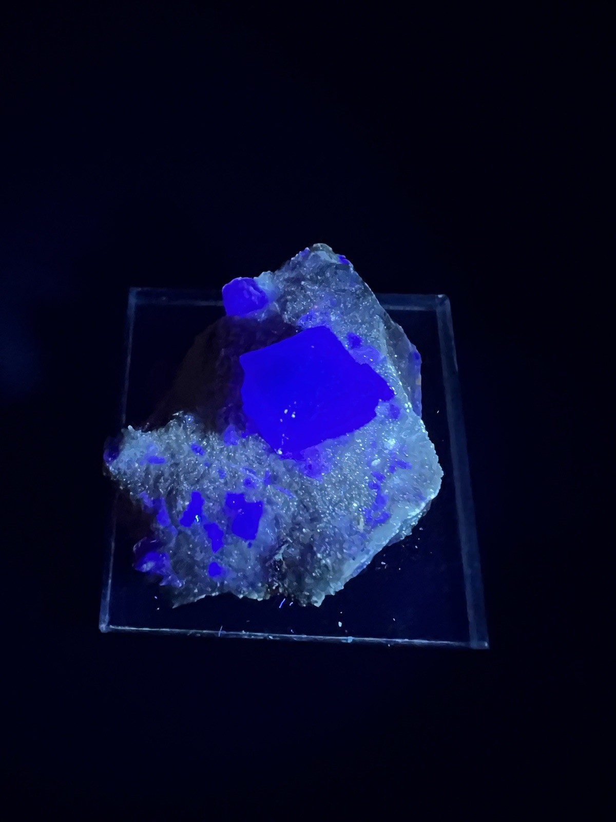 Purple Phantom New Mexico Fluorite Miniature – 10108