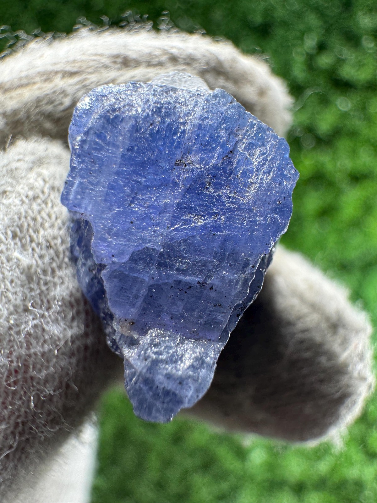 Rare TANZANITE Crystal with COLOR CHANGE under yellow/white light / N626