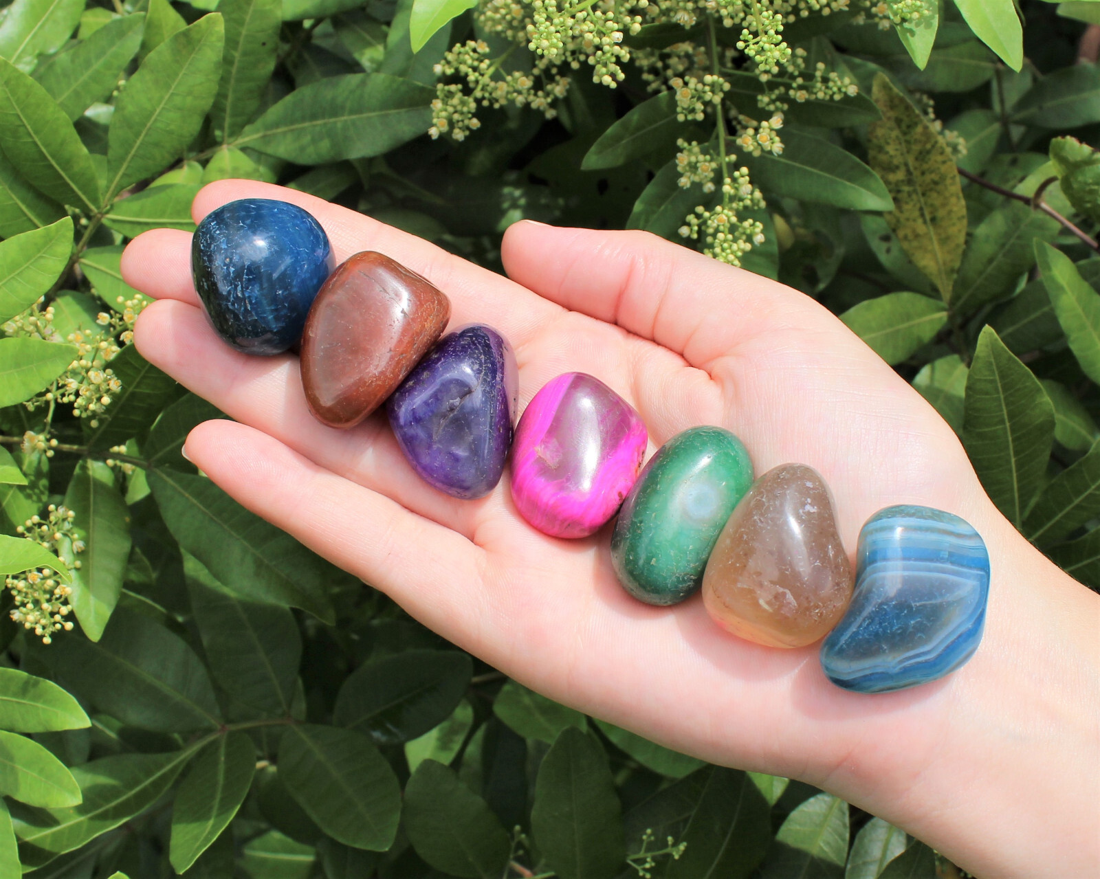 Dyed Tumbled Stones: Bright Colorful Mixed Agate Assorted Gemstone 500 Carat Lot