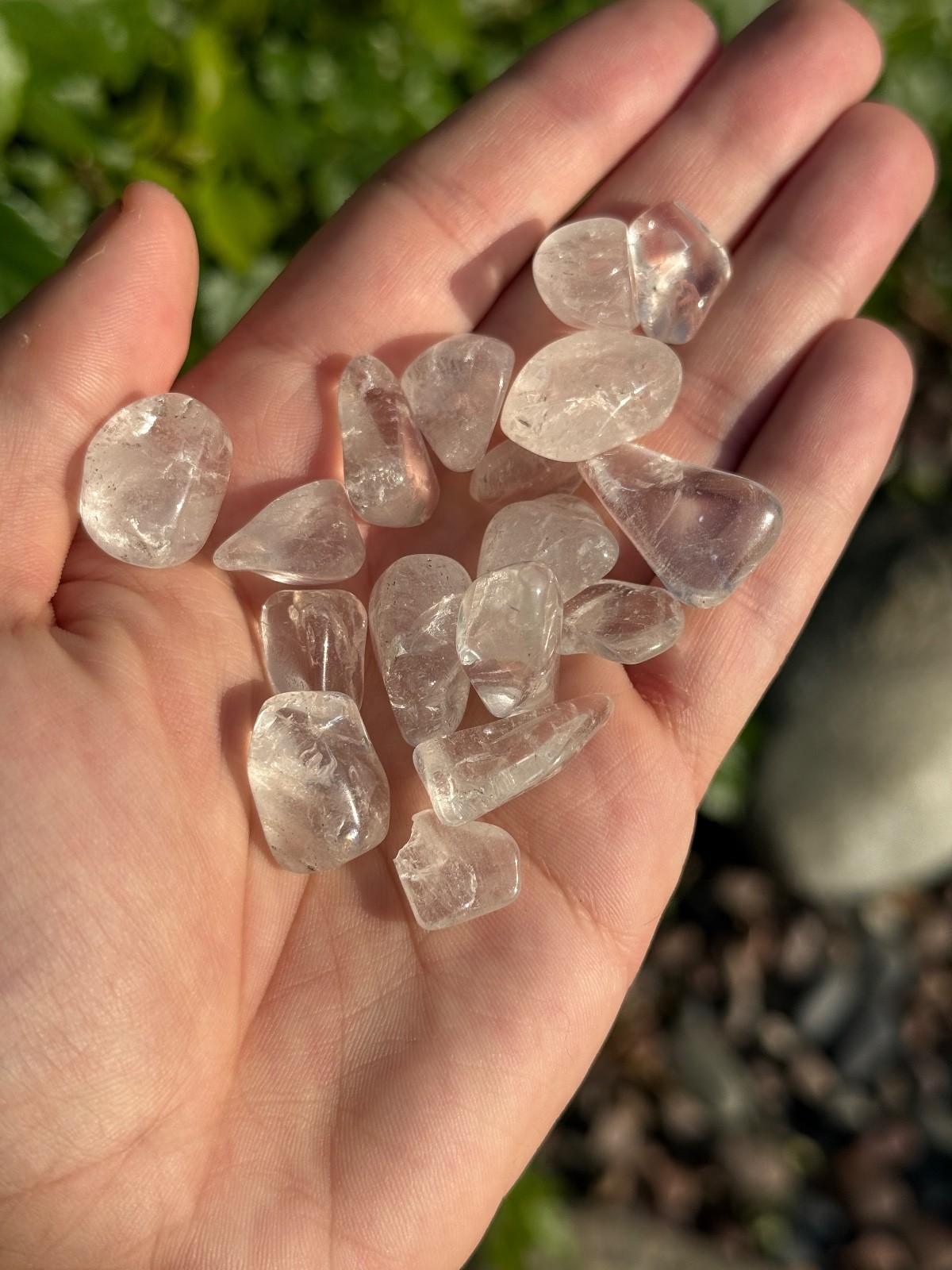 Bulk Wholesale Lot 1/2 Pound Tumble Crystals – Mixed, Carnelian, Tigers eye, ETC