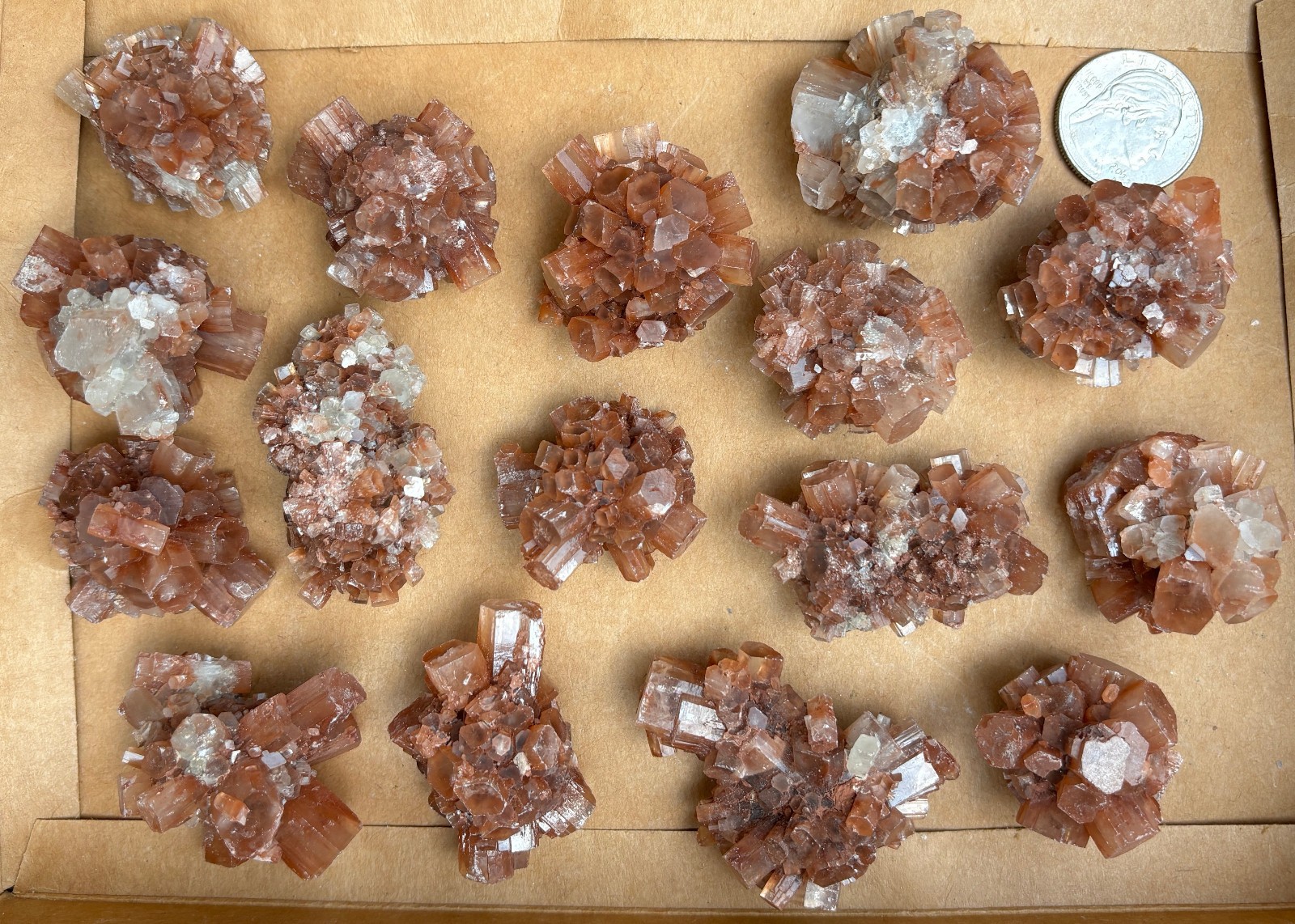 473g 1LB+ POUND LOT ARAGONITE NICE SIZE NUGGETS RED BROWN STALACITE STALACITES