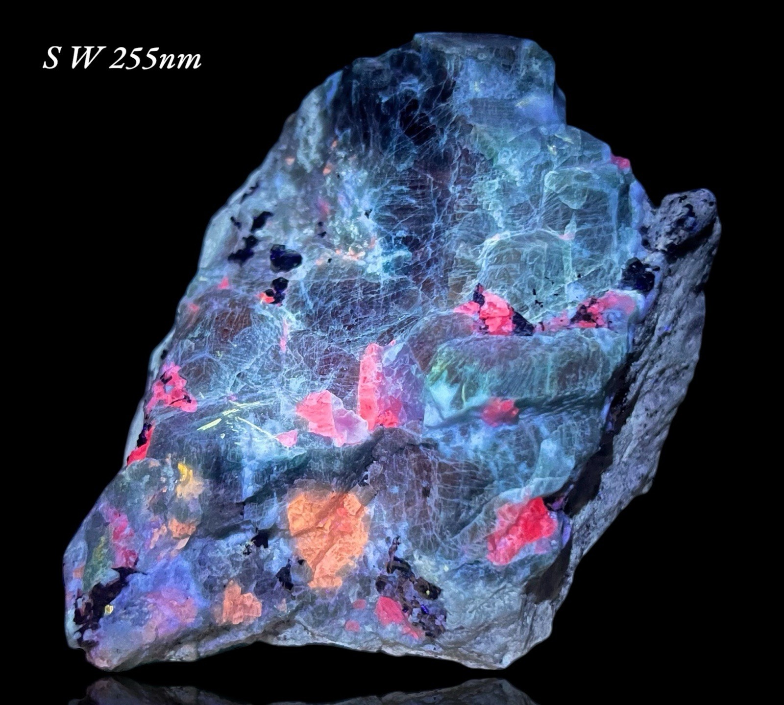 589 GM Sodalite W/ Hauyne, Marialite-Scapolite, Gonnardite, Calcite Fluorapatite