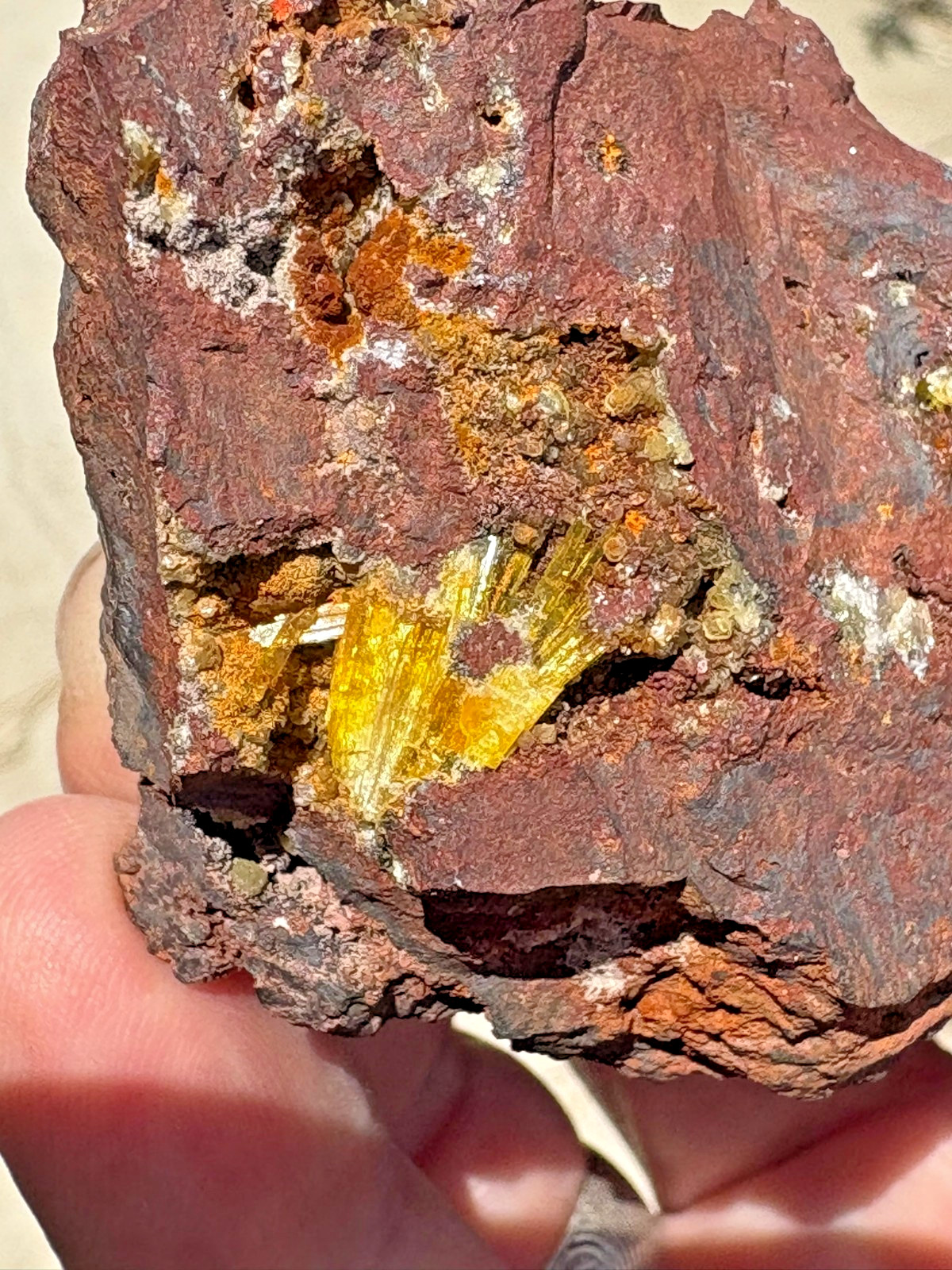 Legrandite crystal spray in matrix, Ojuela mine, Mapimi, Durango, Mexico