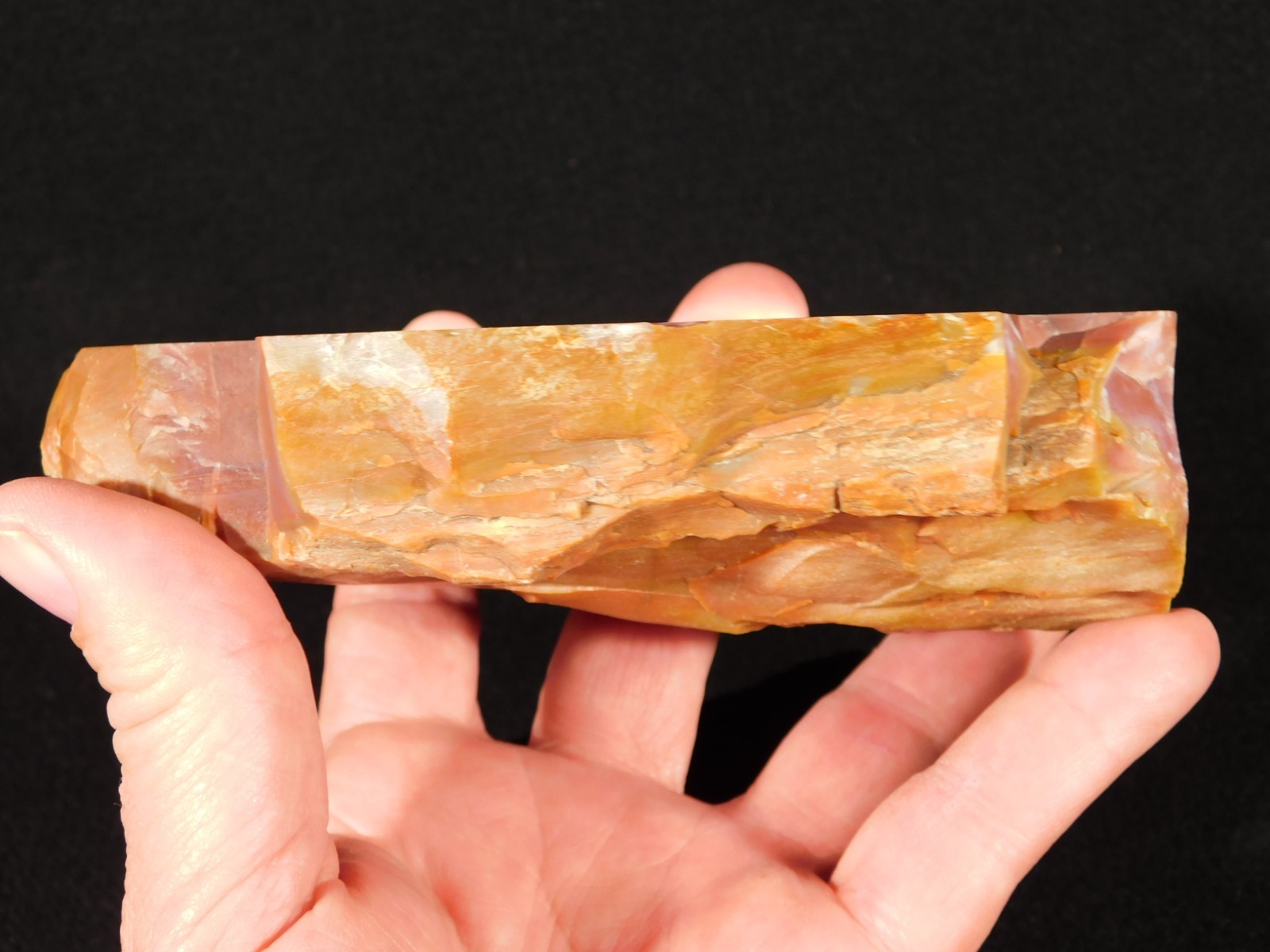 Larger 210 Million Year Old Polished Petrified RAINBOW WOOD Fossil Arizona 750gr