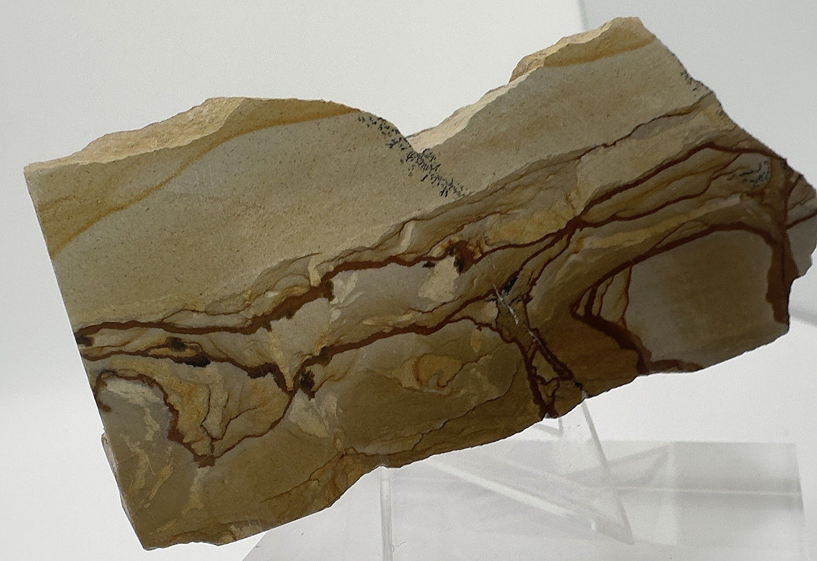4) Rare Polished Ohwlee Picture Jasper Slab 5″ Display Specimen 5.80 oz