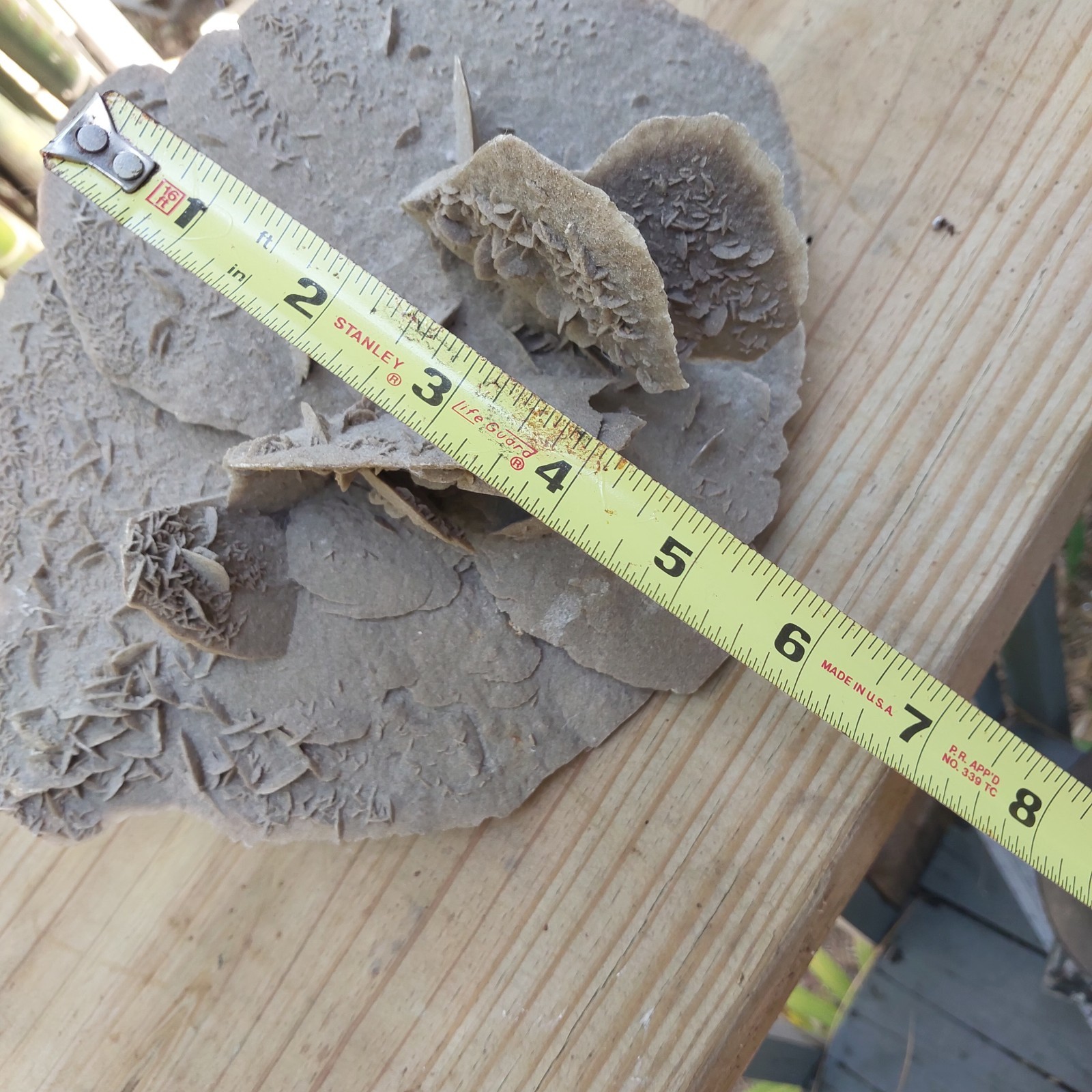 Desert Rose Selenite Gypsum Crystal Formation Mineral Specimen 12″ By 7″