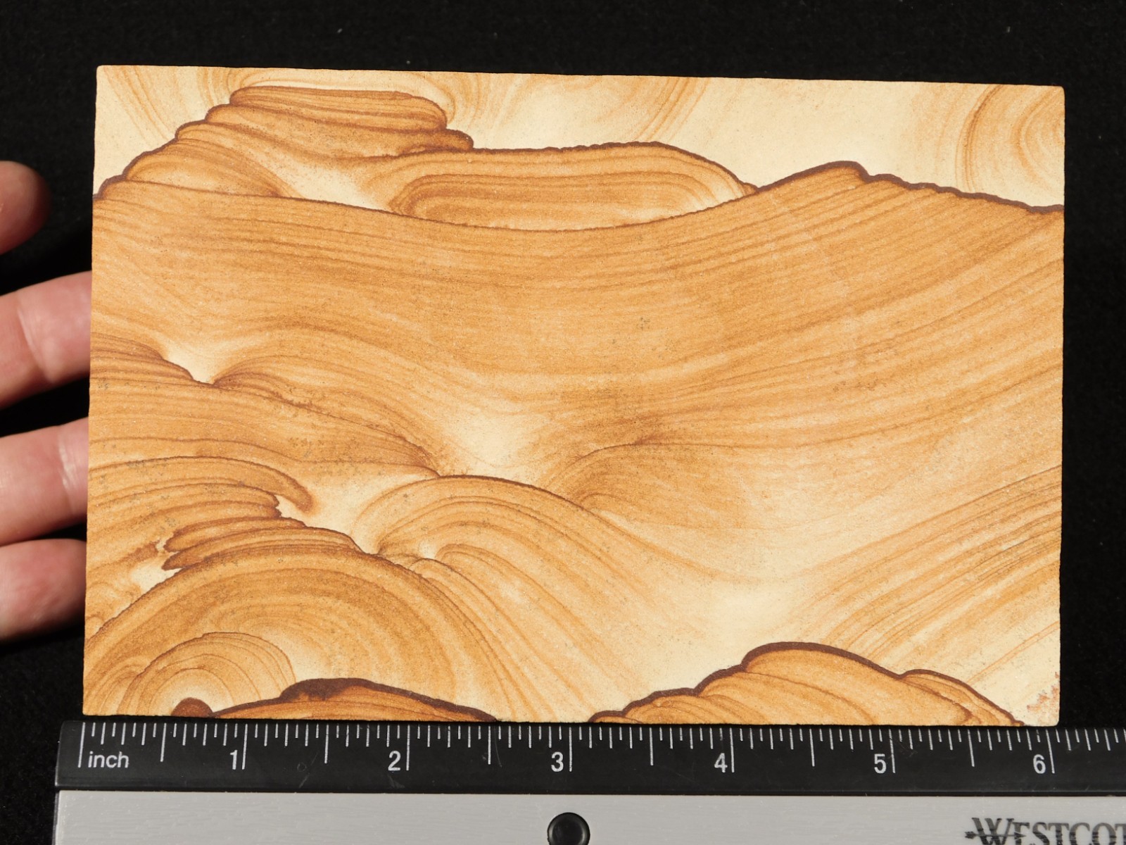 PICTURE Stone or SANDSTONE Slice/Slab with Display Stand Utah 347gr