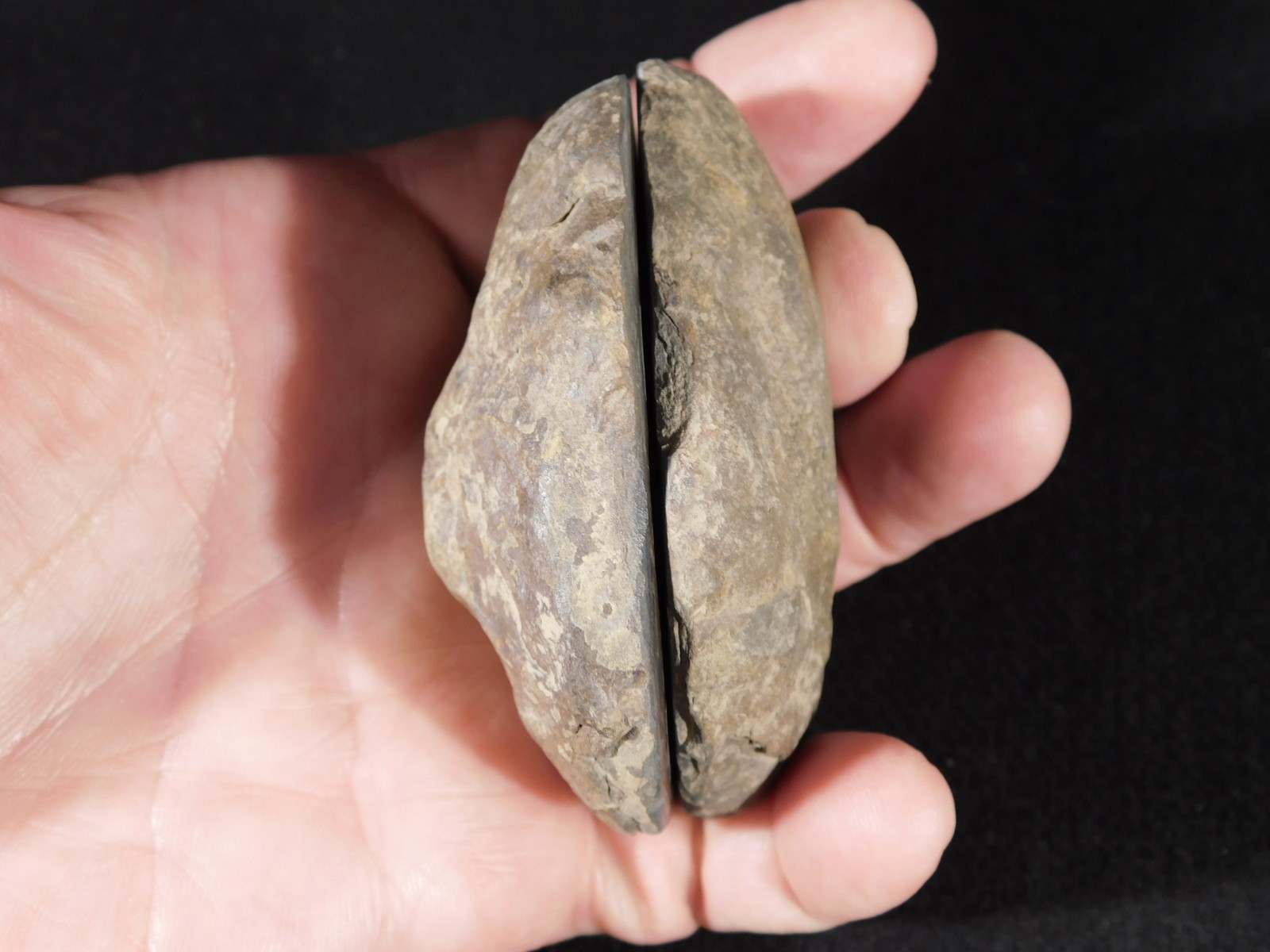 Neat! Lighting Like Pattern! Split and Polished SEPTARIAN Nodule Morocco 248gr