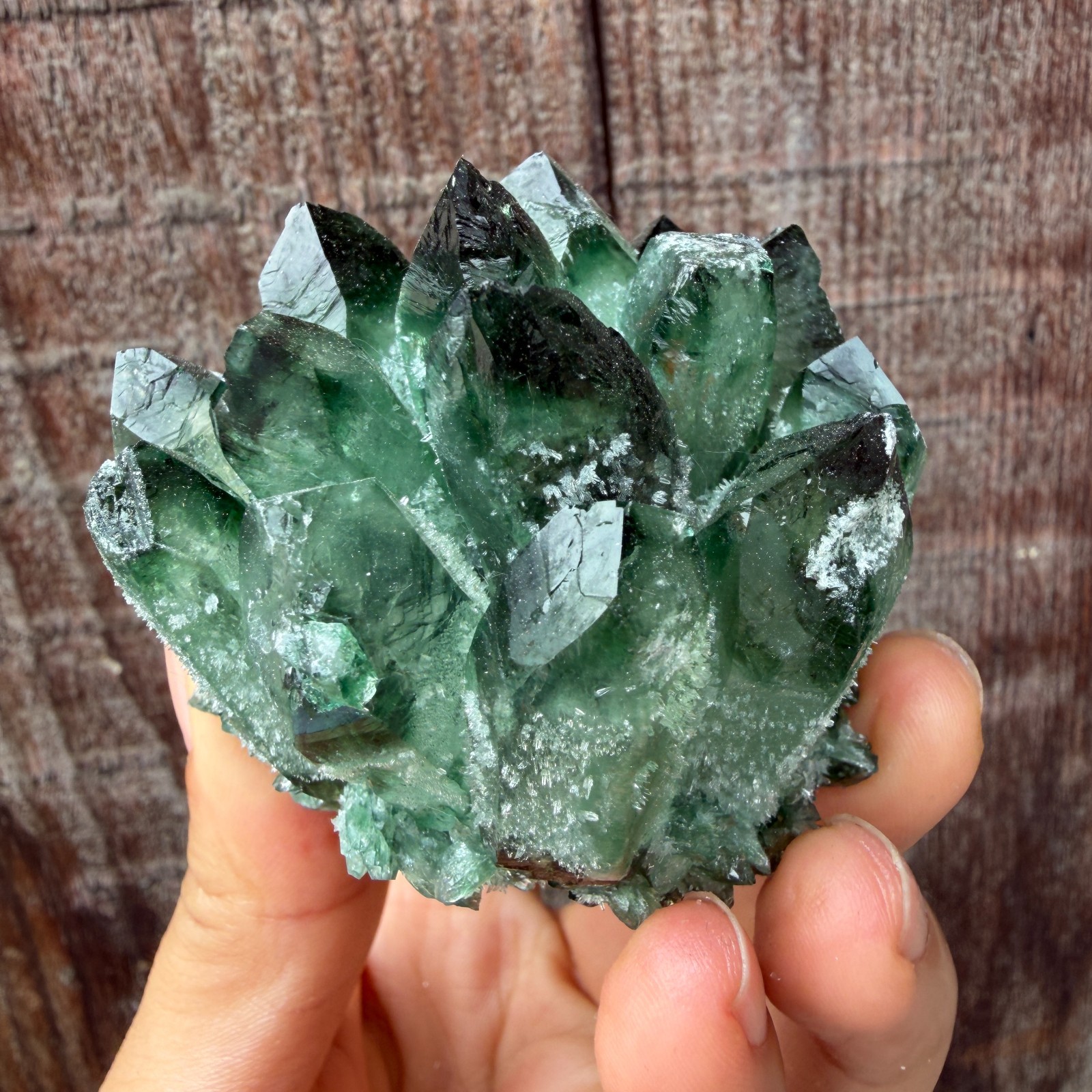 New Find green Phantom Quartz Crystal Cluster Mineral Specimen Healing 200g+ 1pc