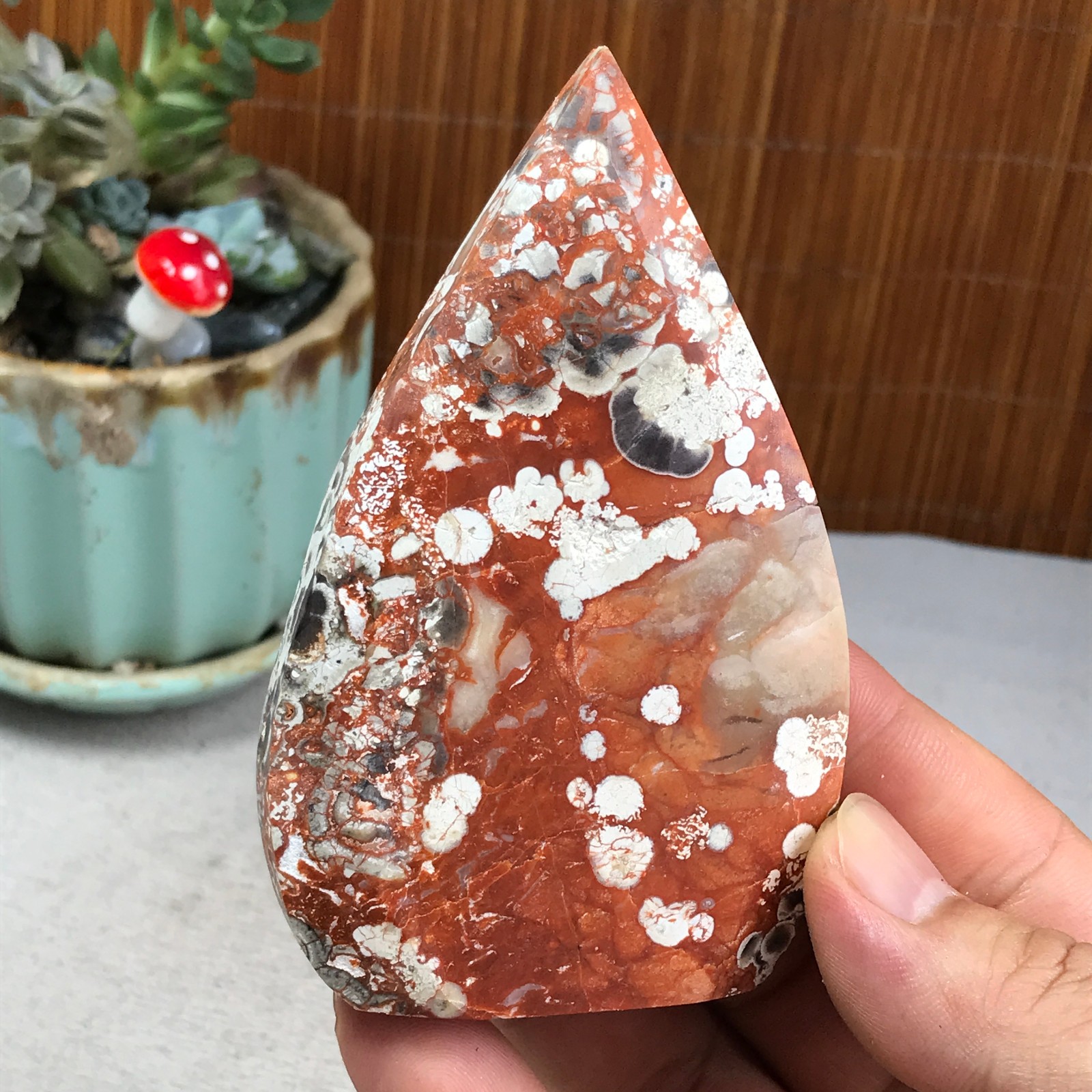 Natural money Mexico agate hand carve leaf Crystal Specimen free standing A6266