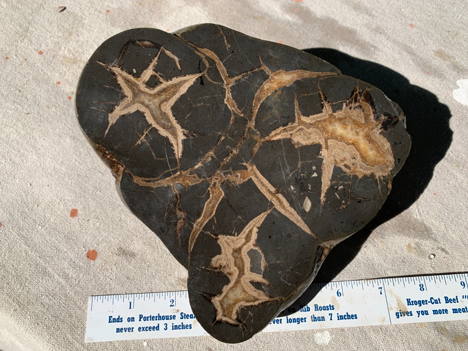 ☆4.7LB (2100Gr) 7 Inch Septarian TRIPLE Nodule 1/2 Geode Mineral from Utah☆722