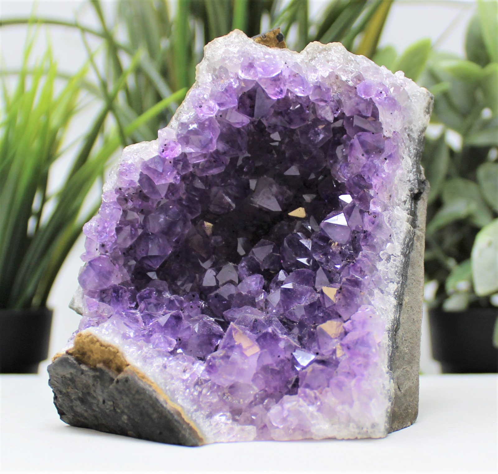Stunning EXTRA LARGE Amethyst Cut Base Cluster Crystal Quartz Geode 12 oz – 1 lb