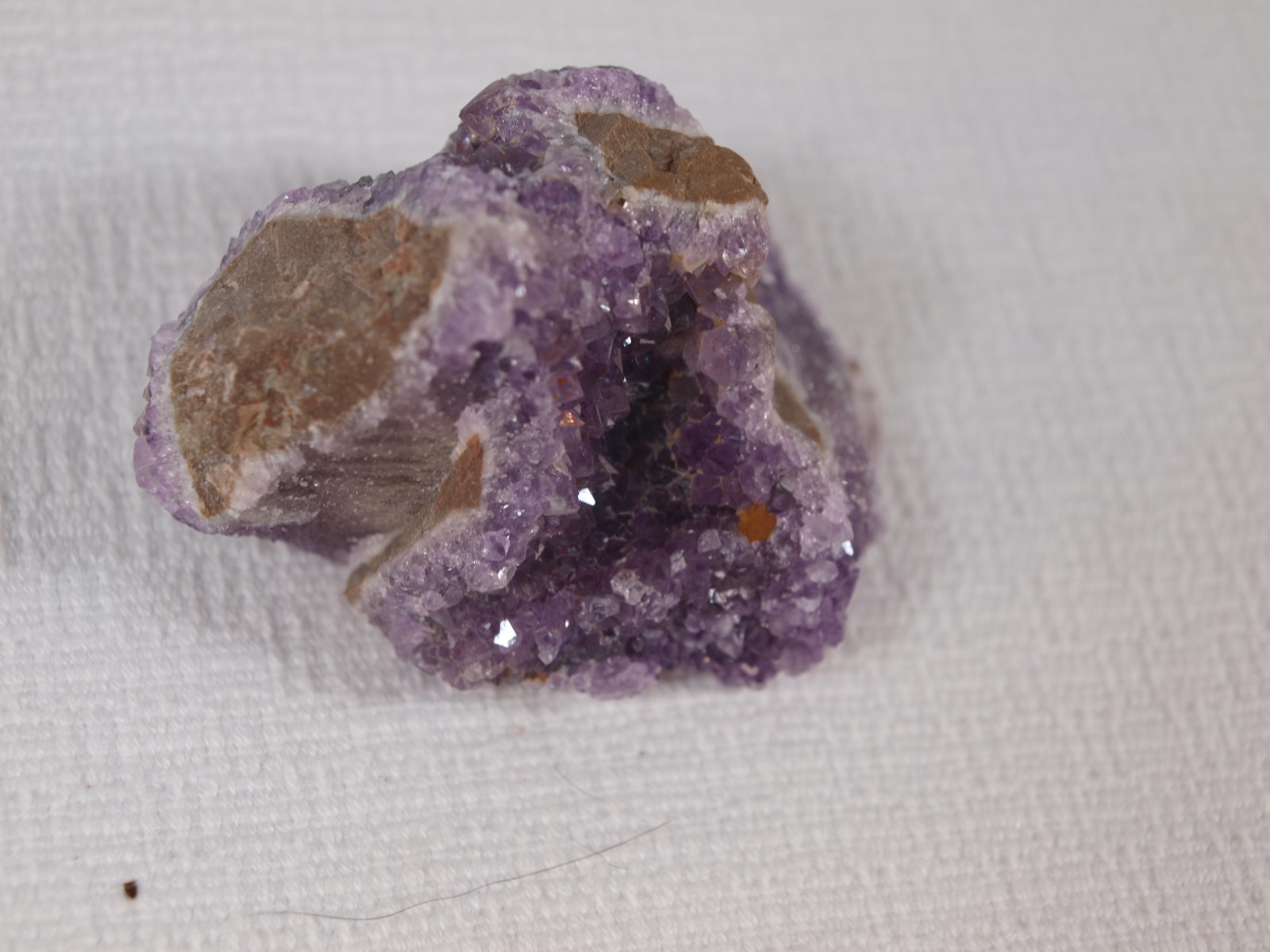 Thunder Bay Amethyst Crystal Pocket on Quartz – Self-Collected – 103.6 g