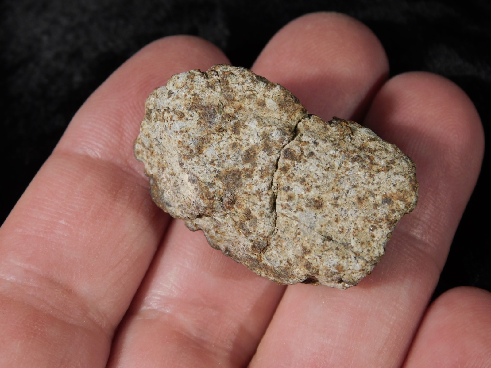 Classified NWA 8245 METEORITE Spots of Dark Fusion Crust! Erfoud, Morocco 21.0gr