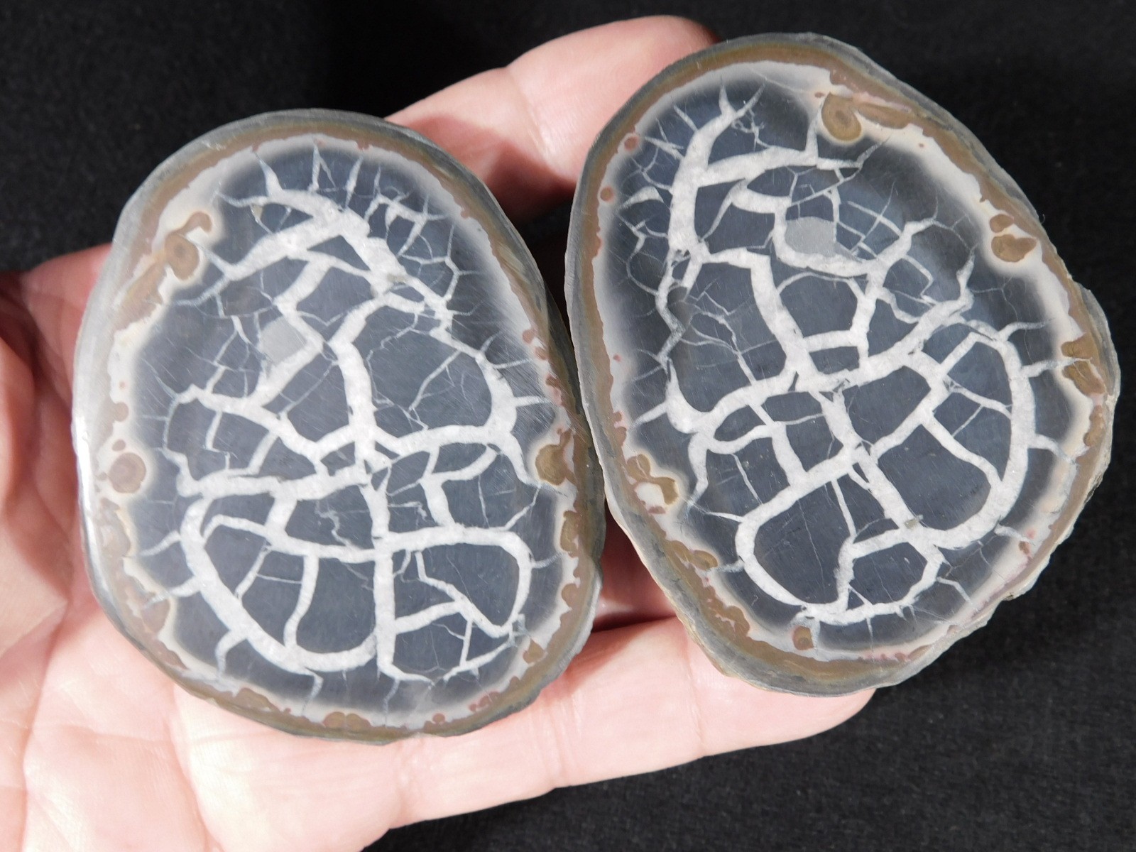 Neat! Lighting Like Pattern! Split and Polished SEPTARIAN Nodule Morocco 248gr