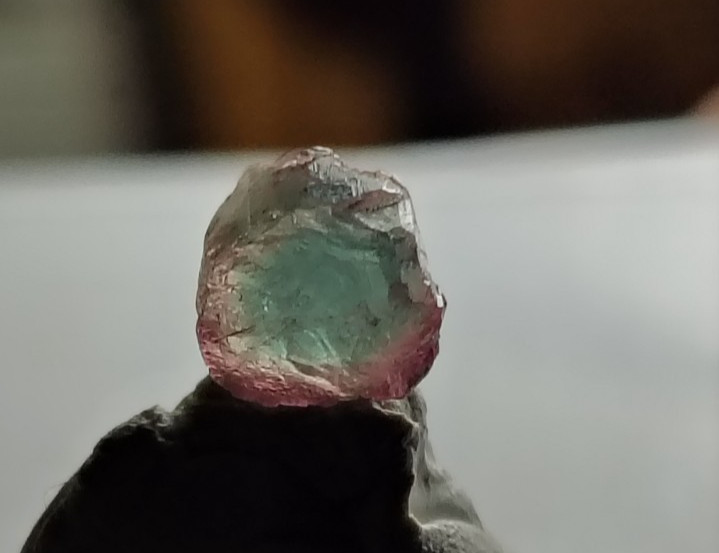Paraiba Copper Bearing Tourmaline BLUE PINK 💙 Batalha MINE Brazil FACET GRADE