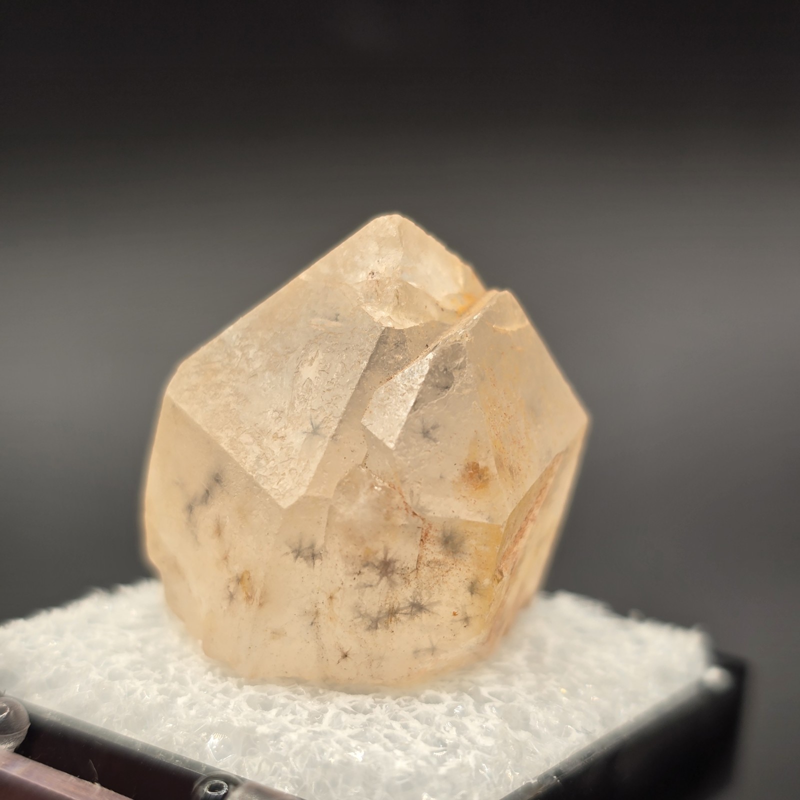 Hollandite Spider Quartz Point Crystal Madagascar Gemstone Specimen in Perky Box