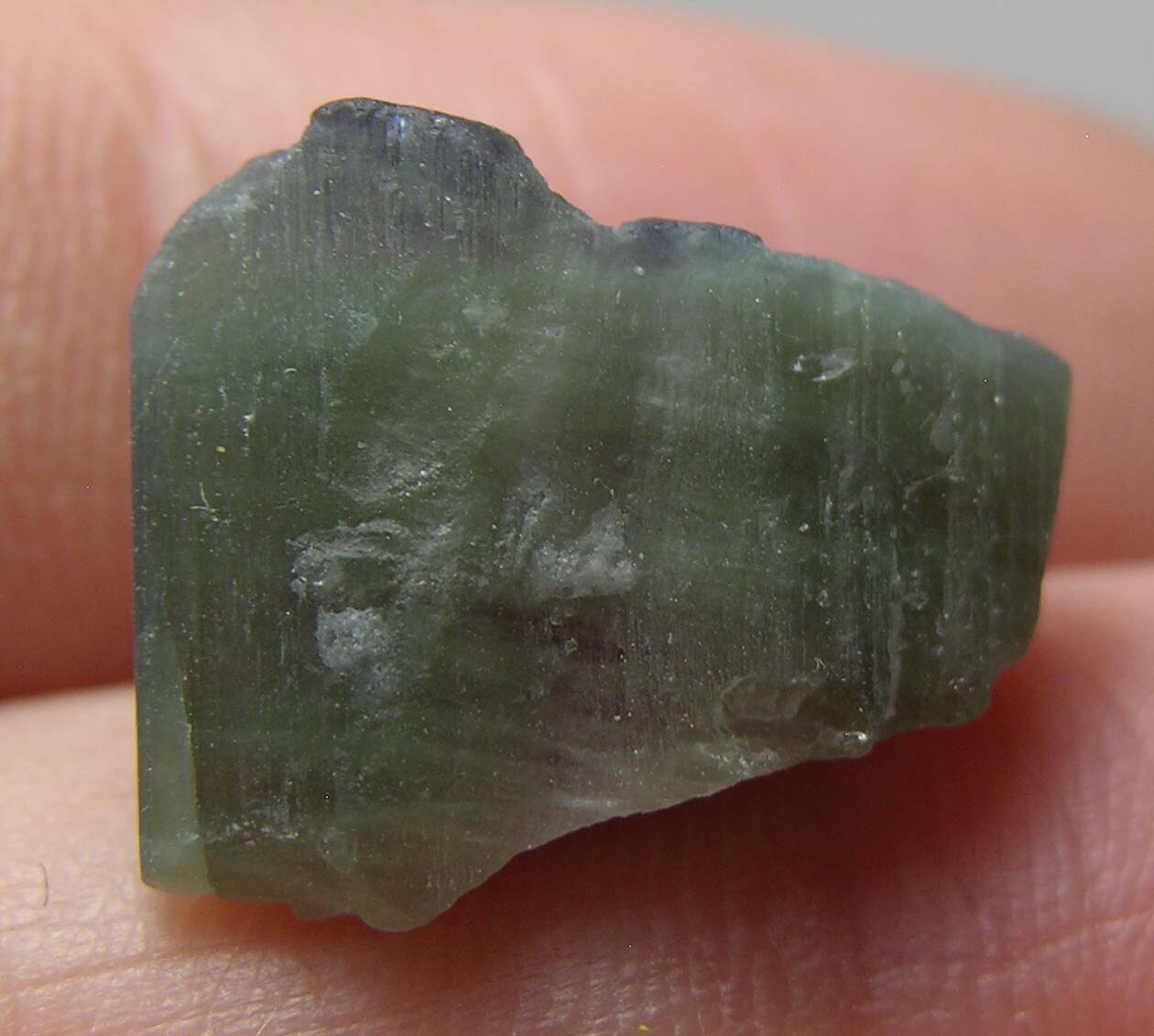11.00ct Afghan 100% Natural Watermelon Tourmaline Crystal Specimen 2.20g 16.00mm