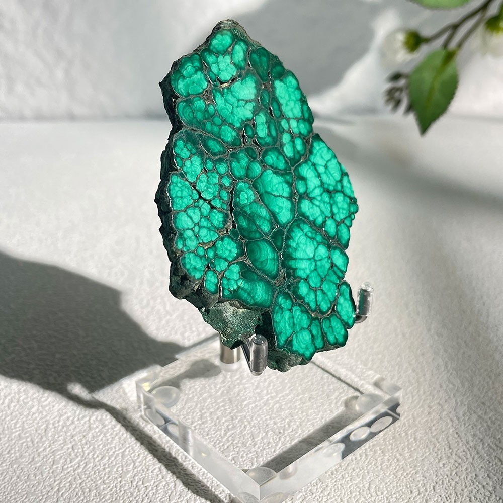 Natural Botryoidal Malachite Slice Crystal Specimen With Acrylic Stand 85g