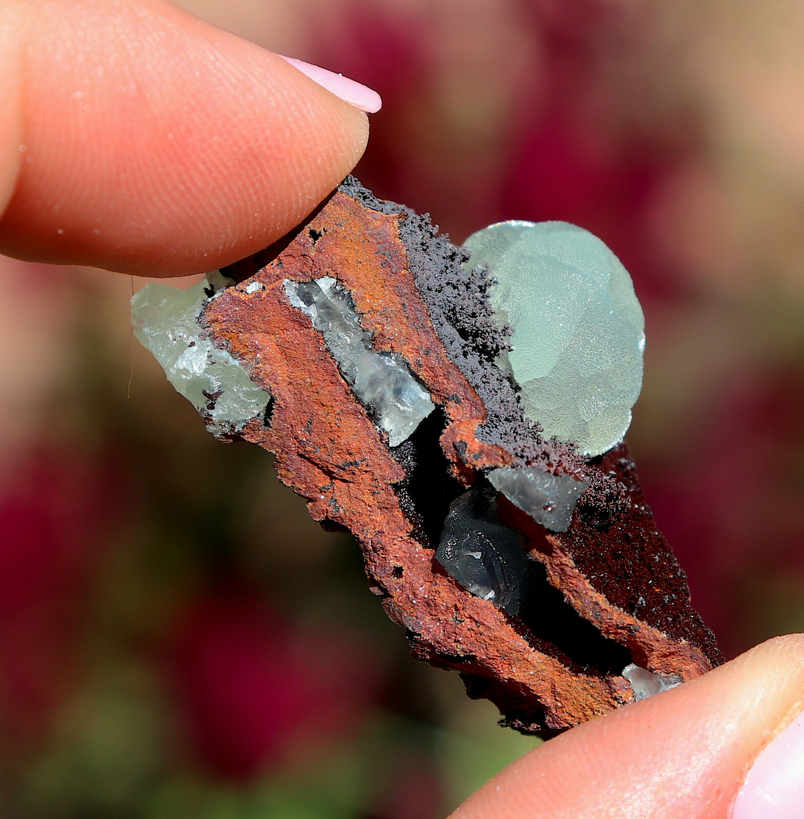 Smithsonite And Hemimorphite On Matrix From Mexico 3.7 Cm’s