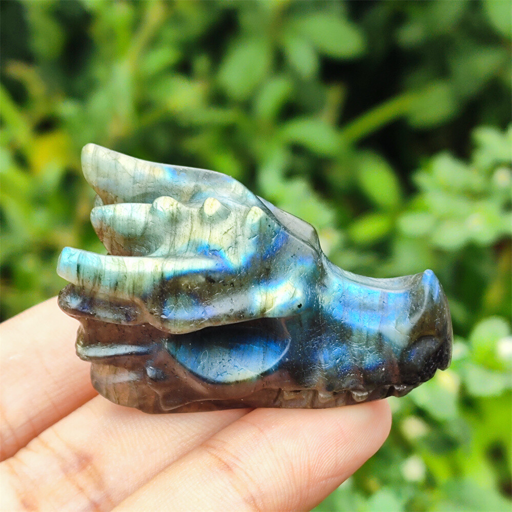 2″ Natural Hand Carved Dragon Skull Quartz Crystal Skull Gem Reiki Healing 1PC