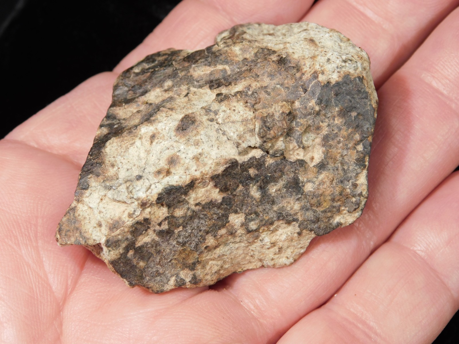Stony METEORITE with DARK Fusion Crust and Contraction CRACKS 70.2gr