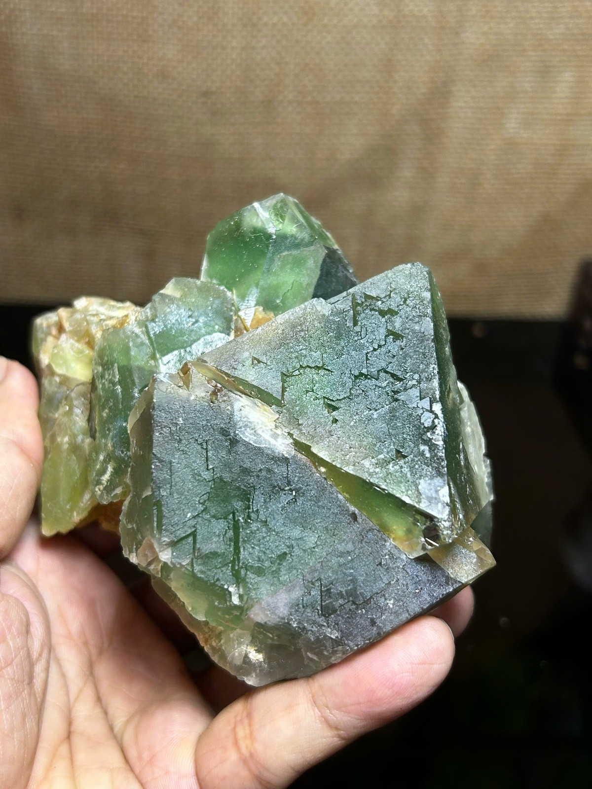 816g Natural Green Cubic Fluorite w/ Rainbow Crystal Cluster Specimen Healing