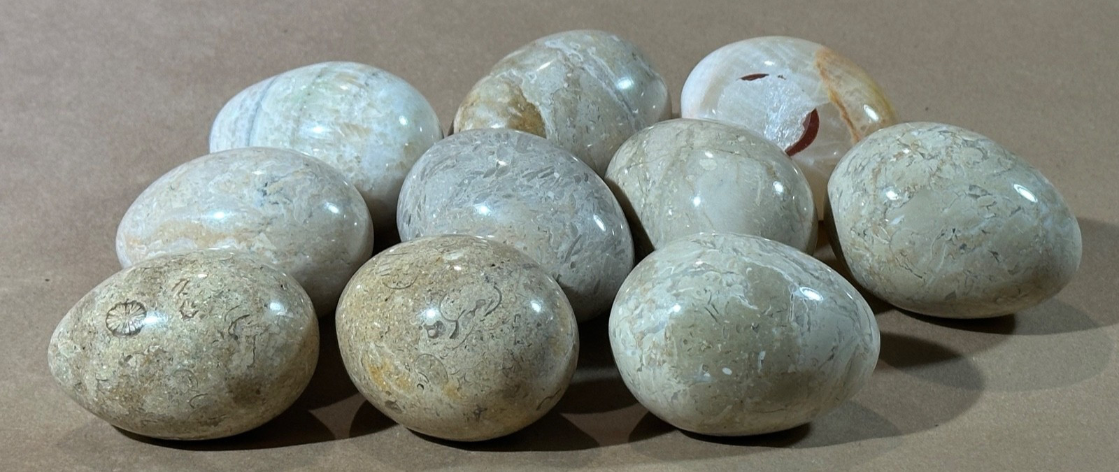 Lot of 10 Fossil Coral / Fossiliferous Limestone Polished Gemstone Eggs 2.75” –