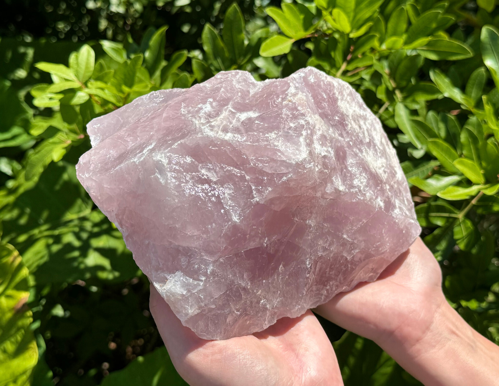 JUMBO Rose Quartz Natural Raw Crystals – Choose Size Huge Chunks (Love Stone)