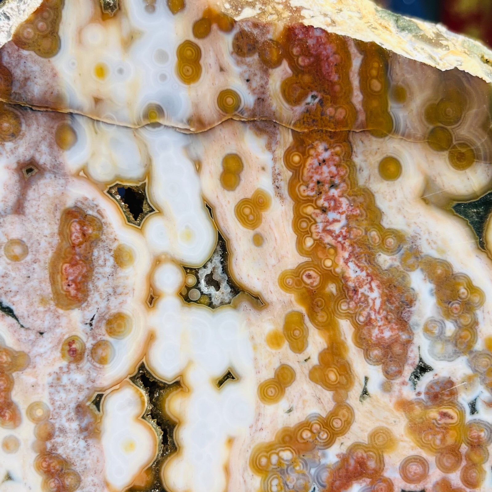 3.75LB Rare Natural The 8th Vein Ocean Jasper Slab Quartz Crystal Reiki Healing
