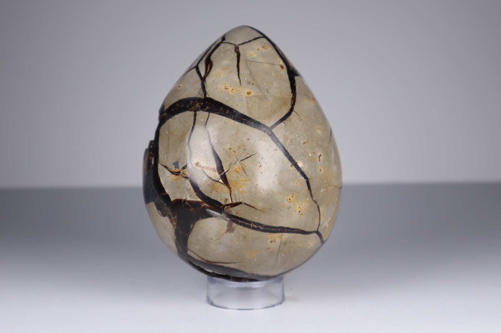 Huge Septarian Dragon Egg 4.3lb Calcite Crystal Cave Fossil Shell Display Stone