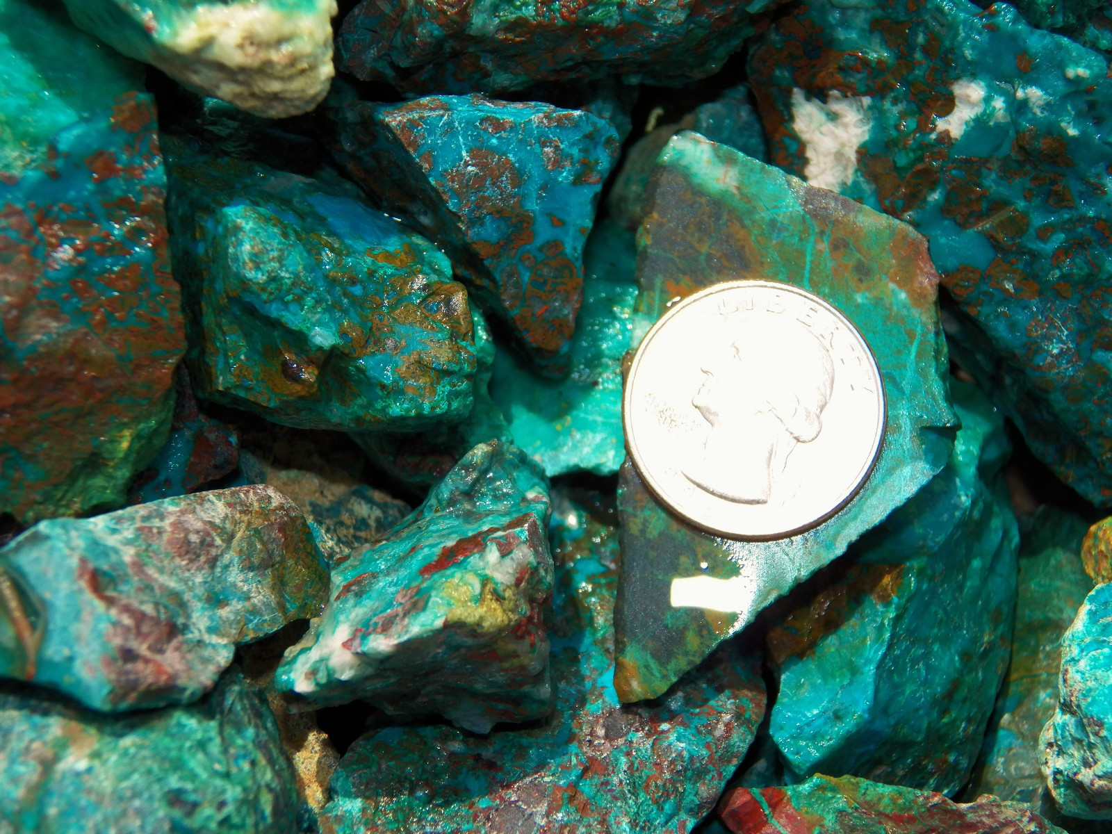 3000 Carat Lots of Chrysocolla & Turquoise Rough – Plus a FREE Faceted Gemstone