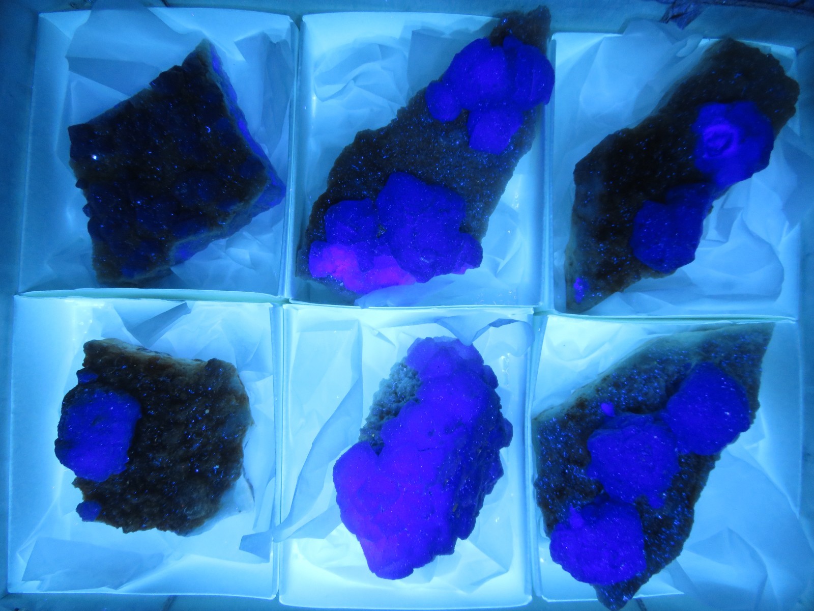 6 Piece Deep Purple Fluorite on Quartz Specimen Flat La Lupita Durango Mexico