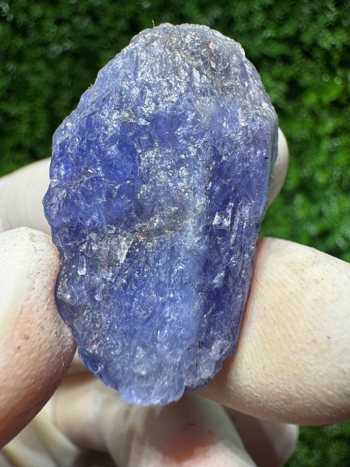 Lovely TANZANITE Crystal with COLOR CHANGE under yellow/white light / N435