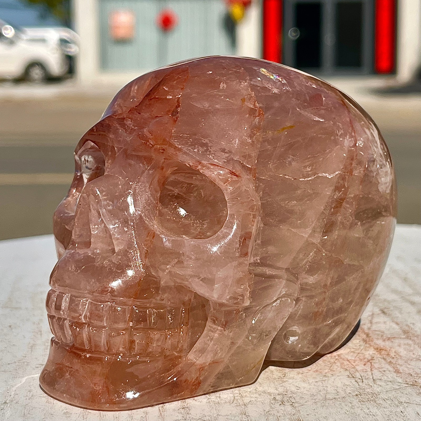 2.38LB Hand carved Red Gum Flower Skull | Used for decoration or gifts