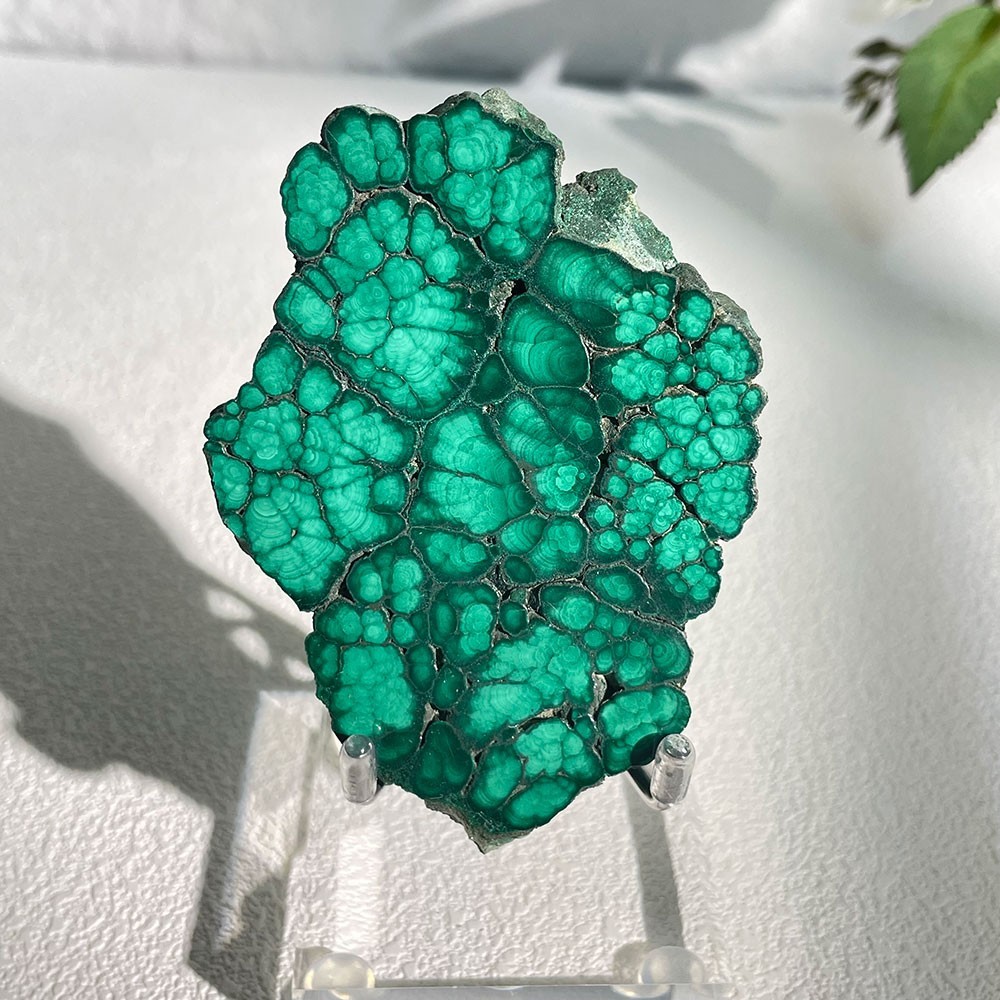 Natural Botryoidal Malachite Slice Crystal Specimen With Acrylic Stand 85g