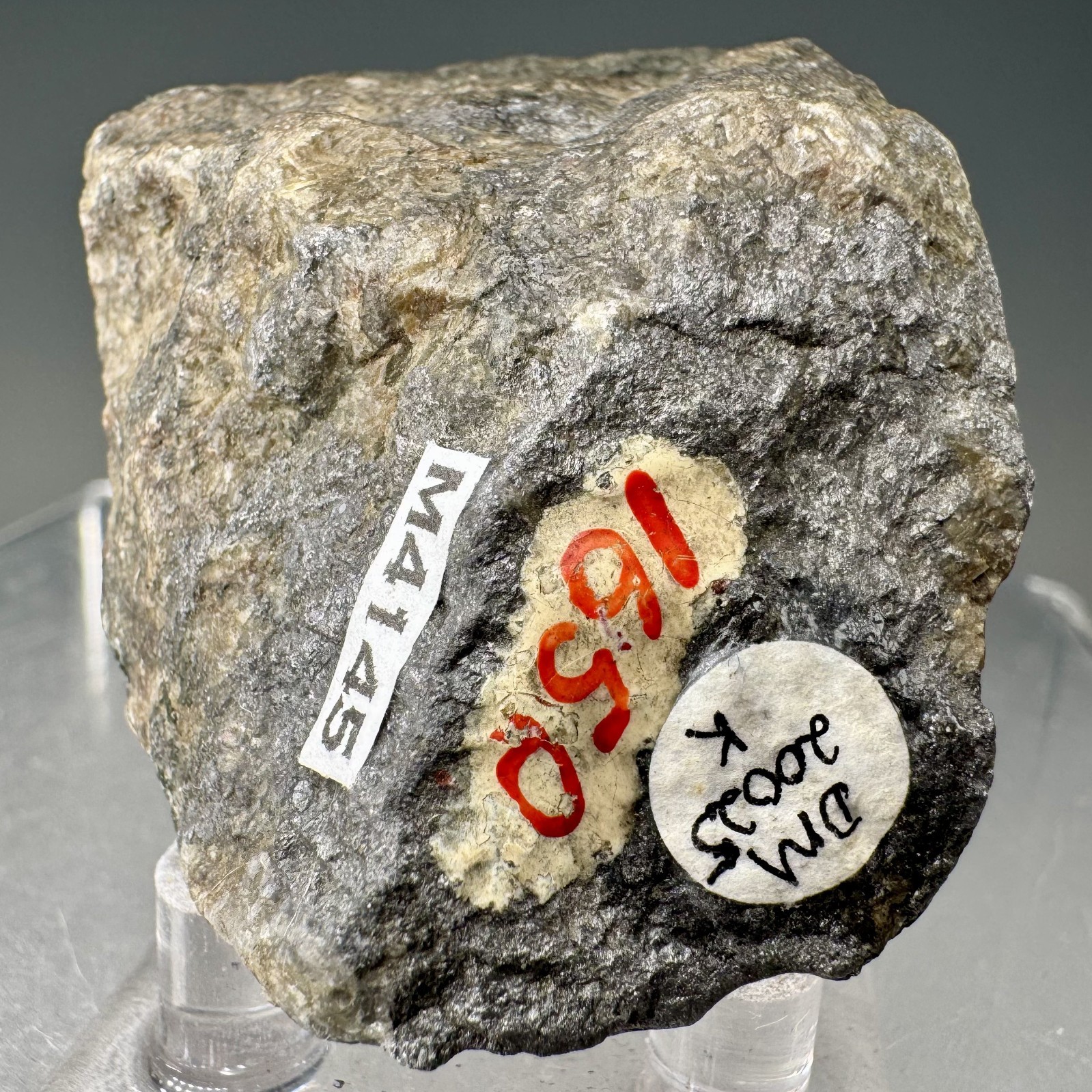 Rich Skutterudite Specimen: Annivierthal, Tyrol Region, Austria- Rare!