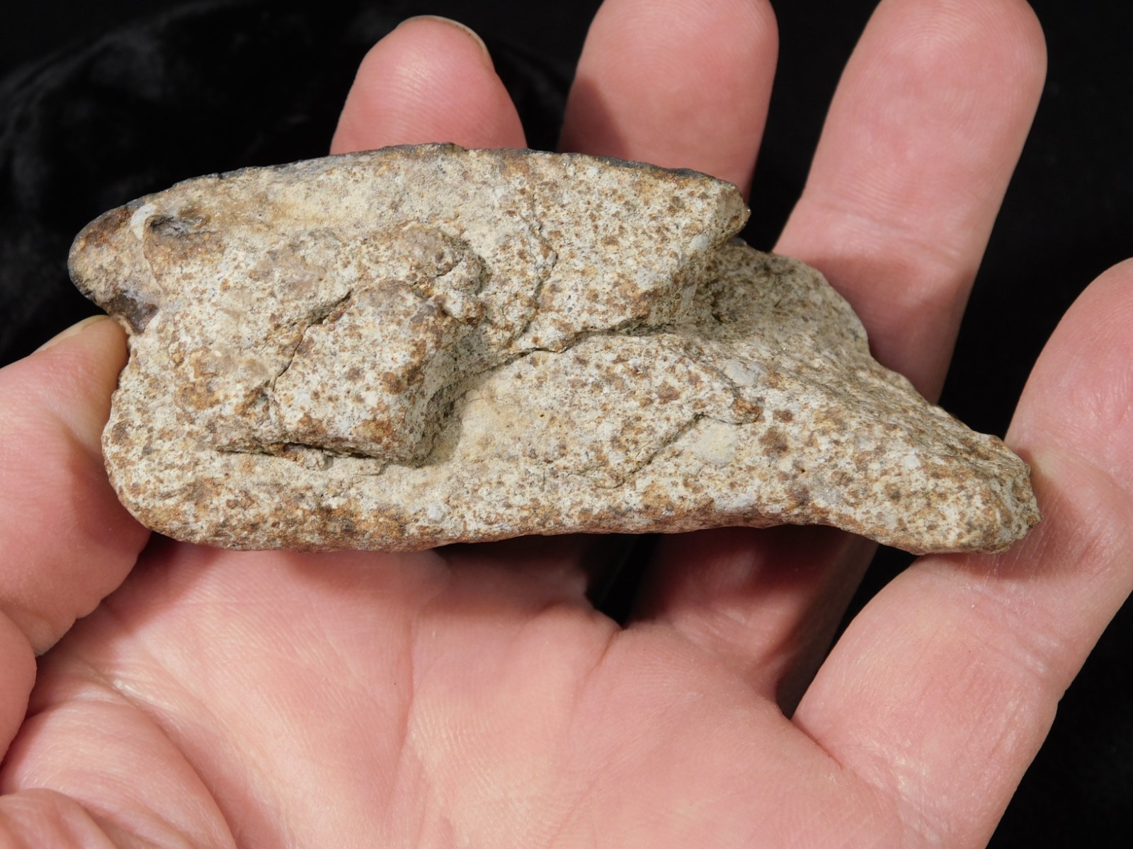 Larger! Classified NWA 8245 METEORITE 100% Natural! Erfoud, Morocco 184gr